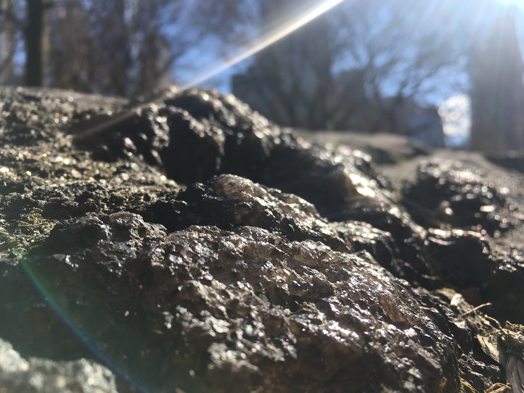 全硫含量测定实验中测完高硫煤后没有插入废样直接测低硫煤会怎么样