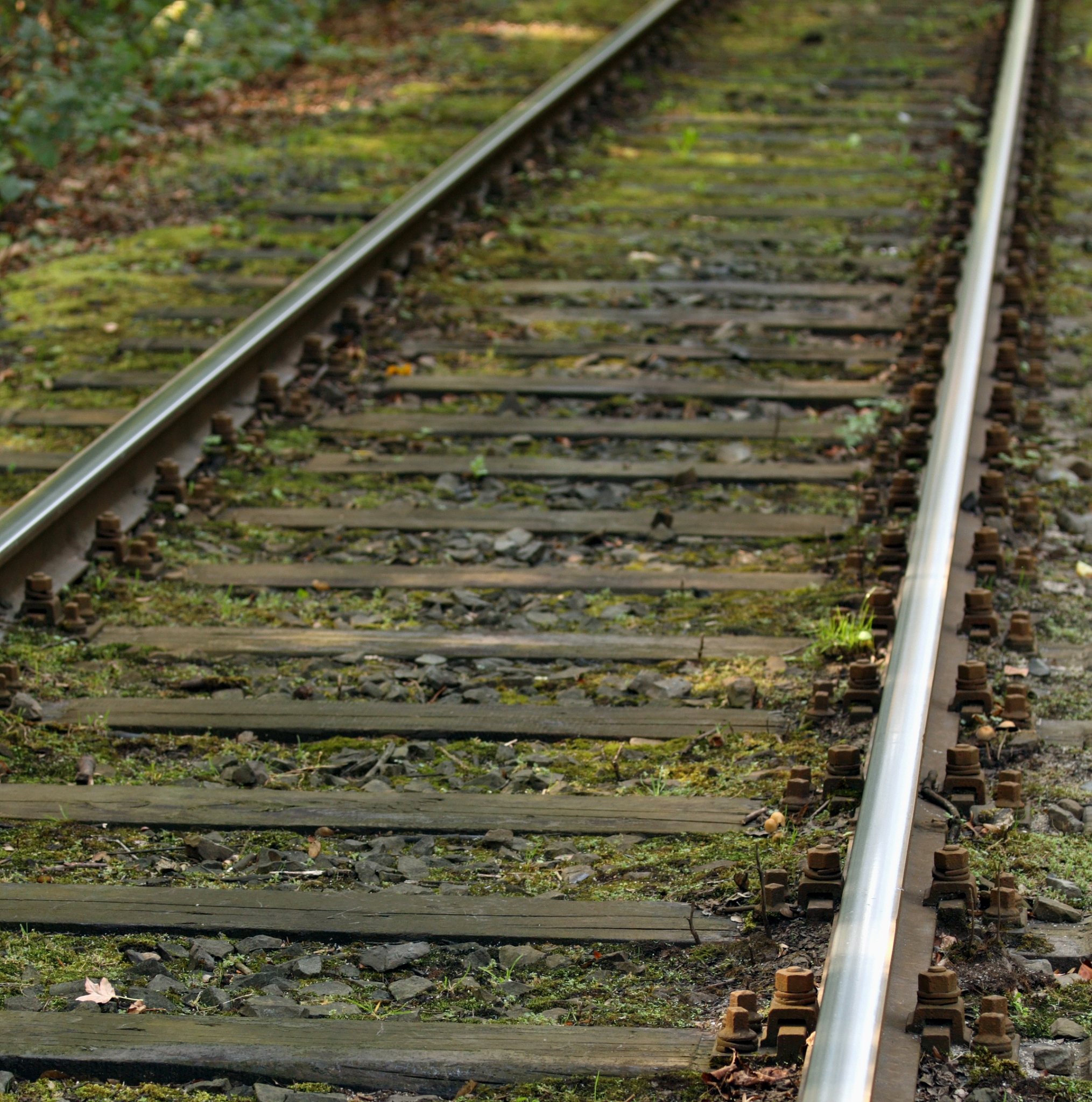 成都铁路学校专业选择指南：如何挑选最适合你的专业？