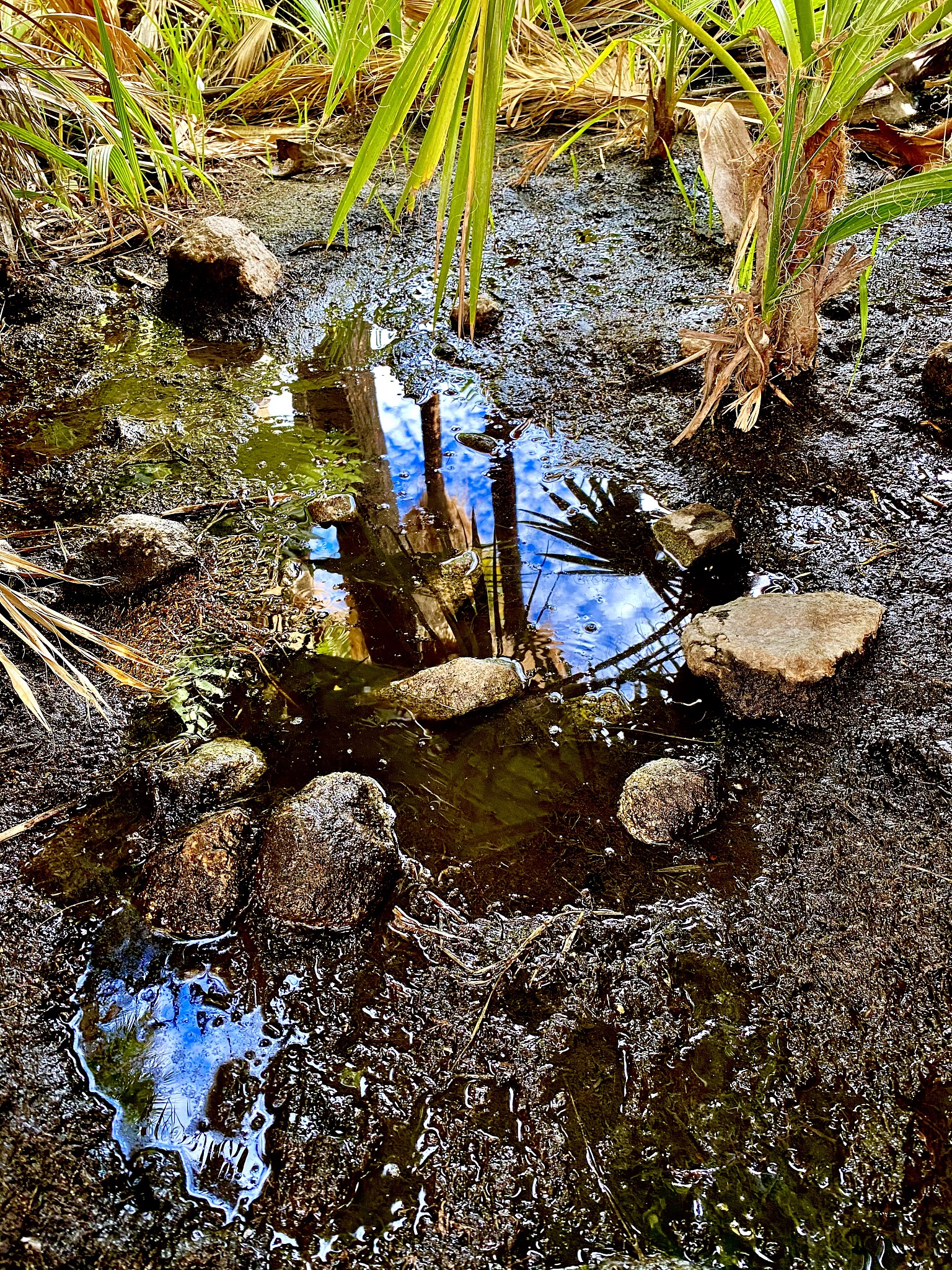 11x12 FT Hardtop Gazebo with Waterproof Asphalt Roof and Solid Wood Frame Reviews - Walmart