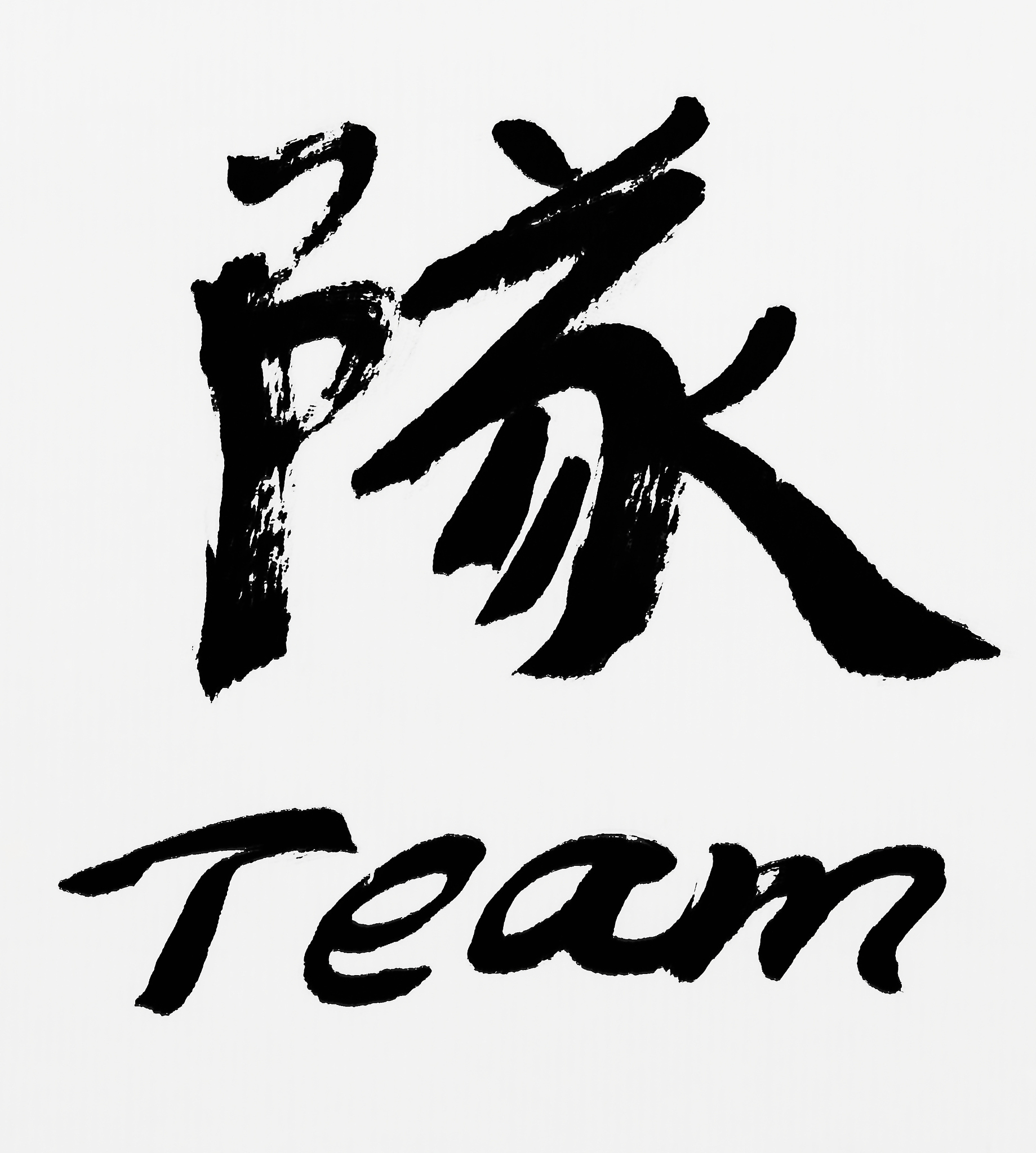 chinese calligraphy team