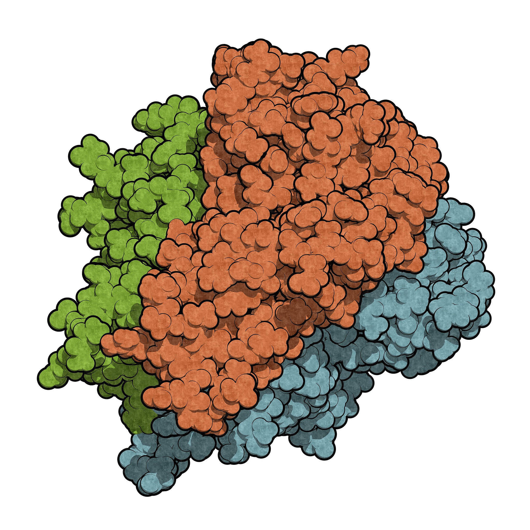 Which harmful cytokines can be released by visceral fat