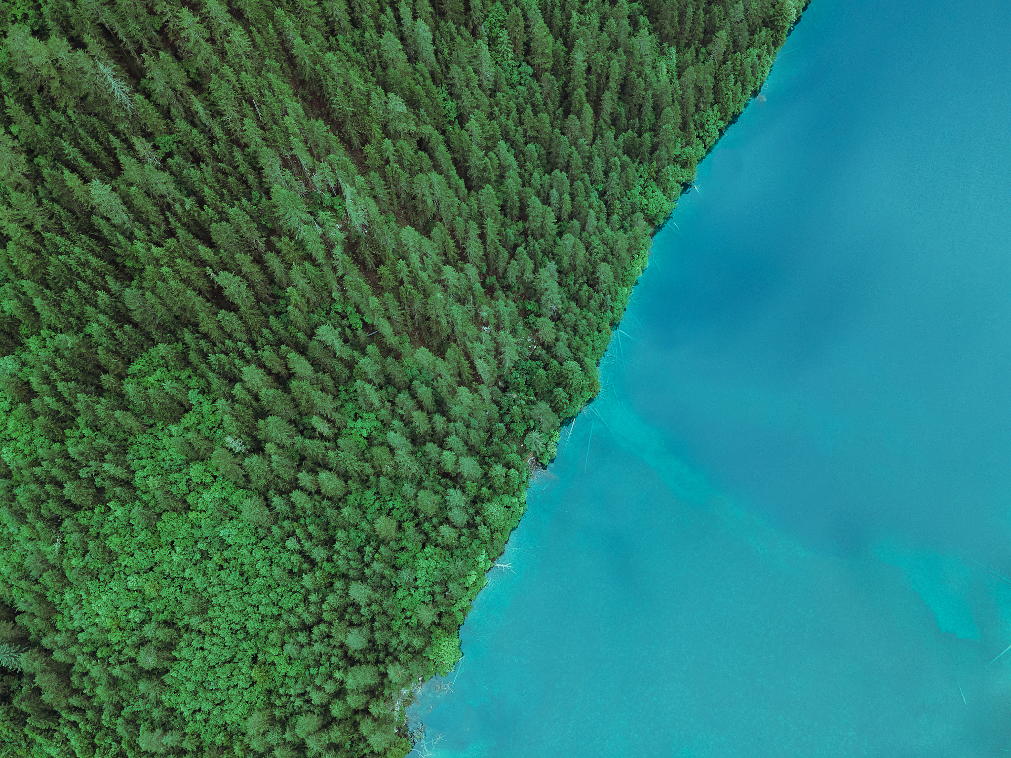 原批是什么意思？ - 解释及含义