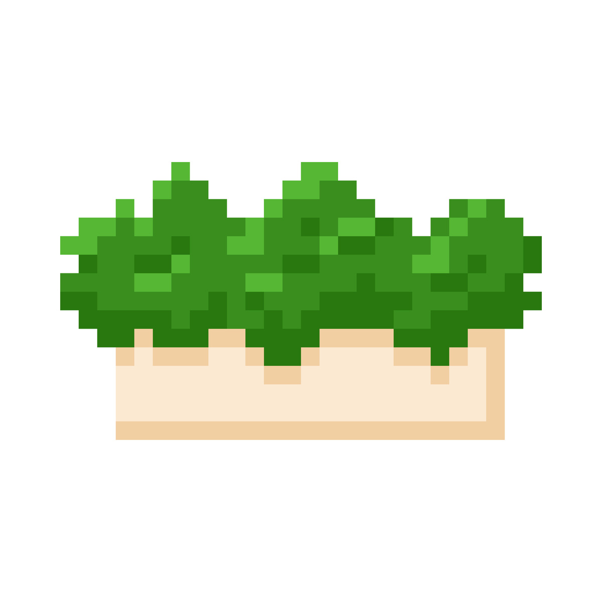 帮我翻译：富集基因数目最多的是植物激素通路