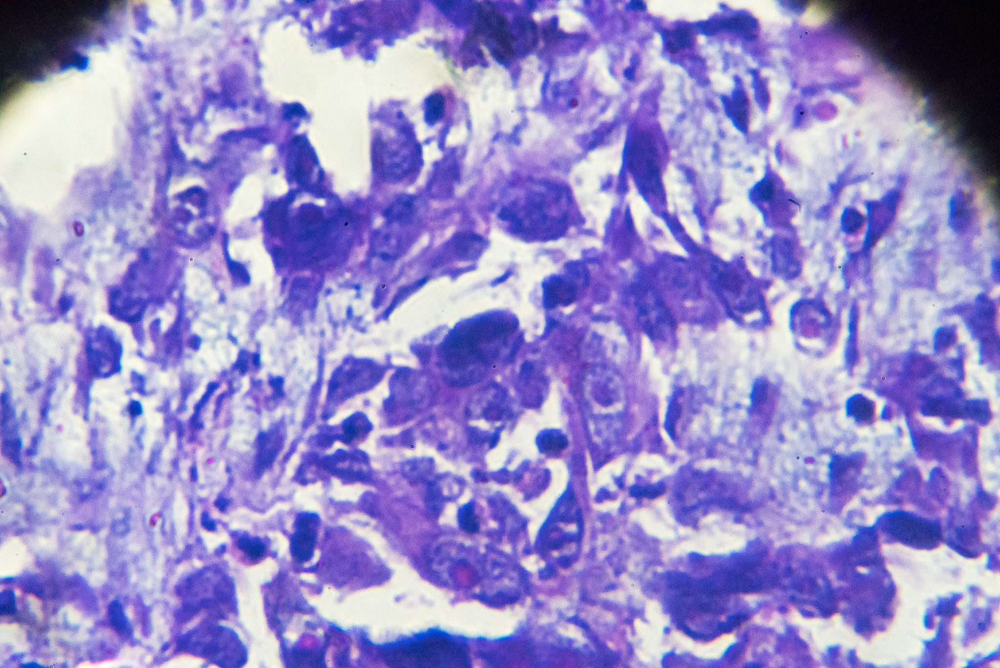 信息化教学：定义、优势、内容与挑战