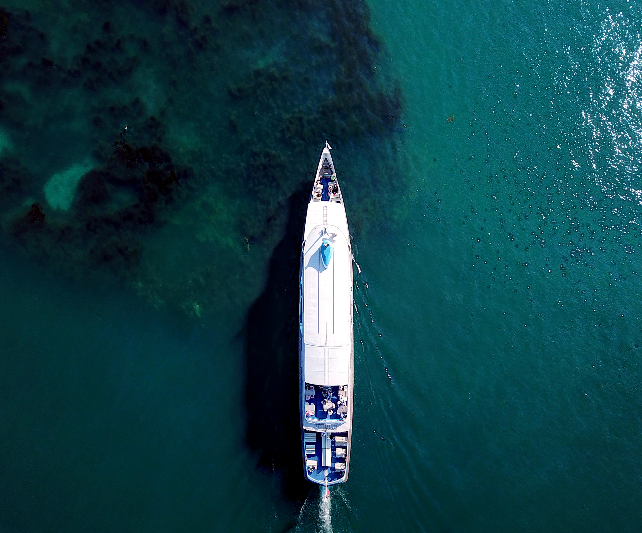into the blue