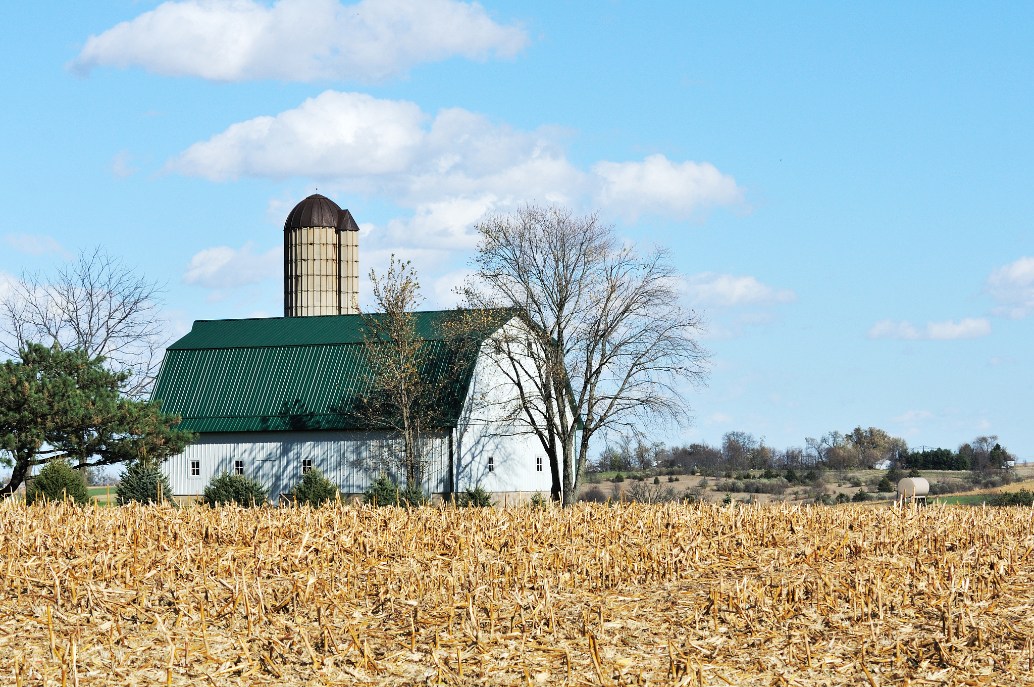 Transit Silo Inspection and Goods Condition Report