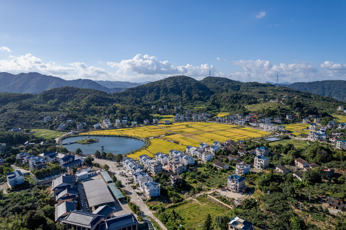 宁德霍童古镇、七都镇乡村振兴经验：产业、生态、文化三管齐下