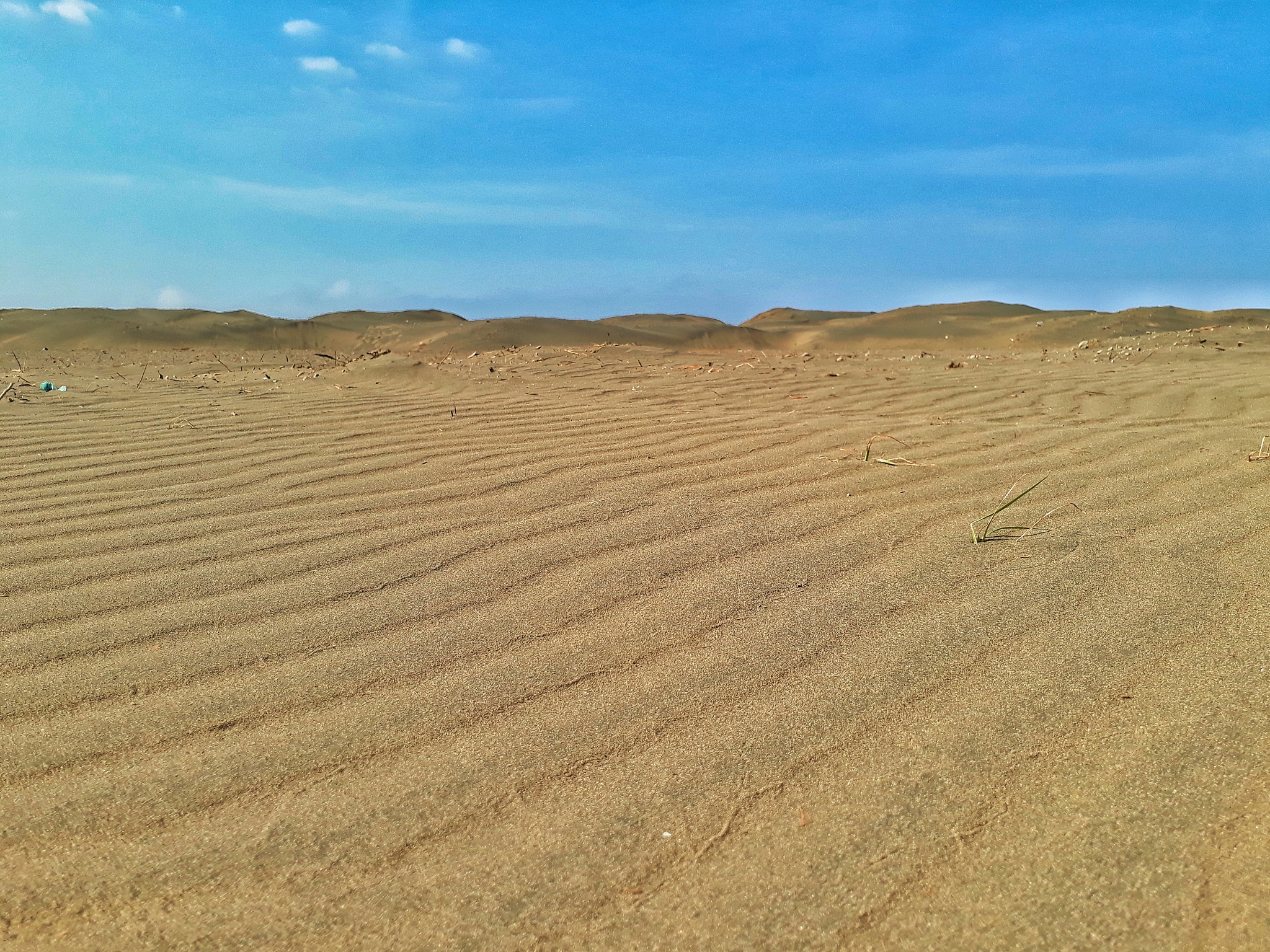 desert & sky