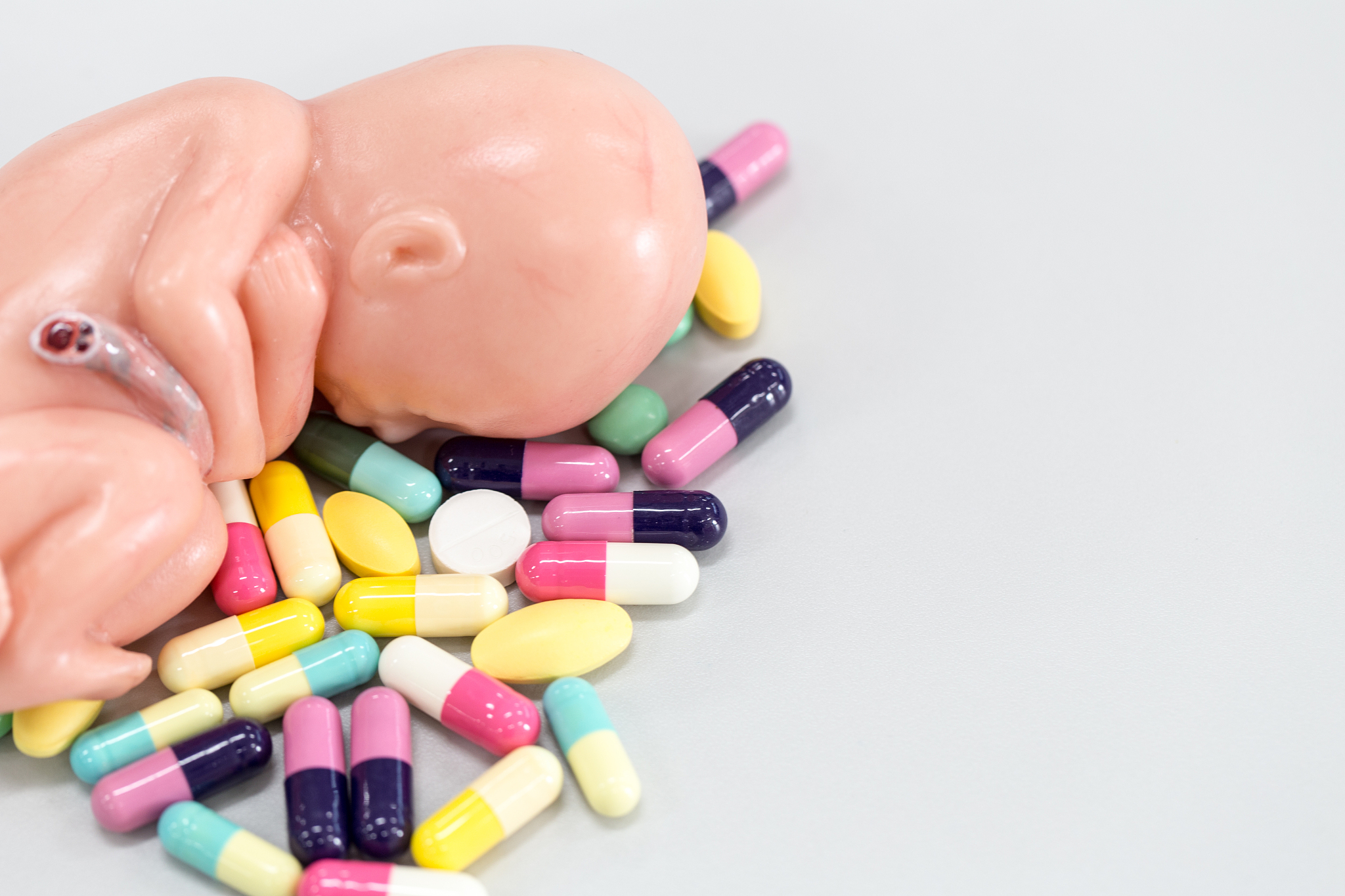 embryo model, fetus and medicine for classroom education.