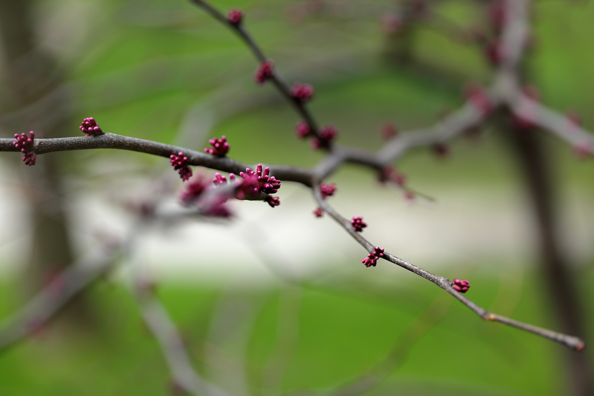 用以下内容帮我写一个新闻稿文案 科普心血活力液多少钱一盒有效果吗秒懂百科