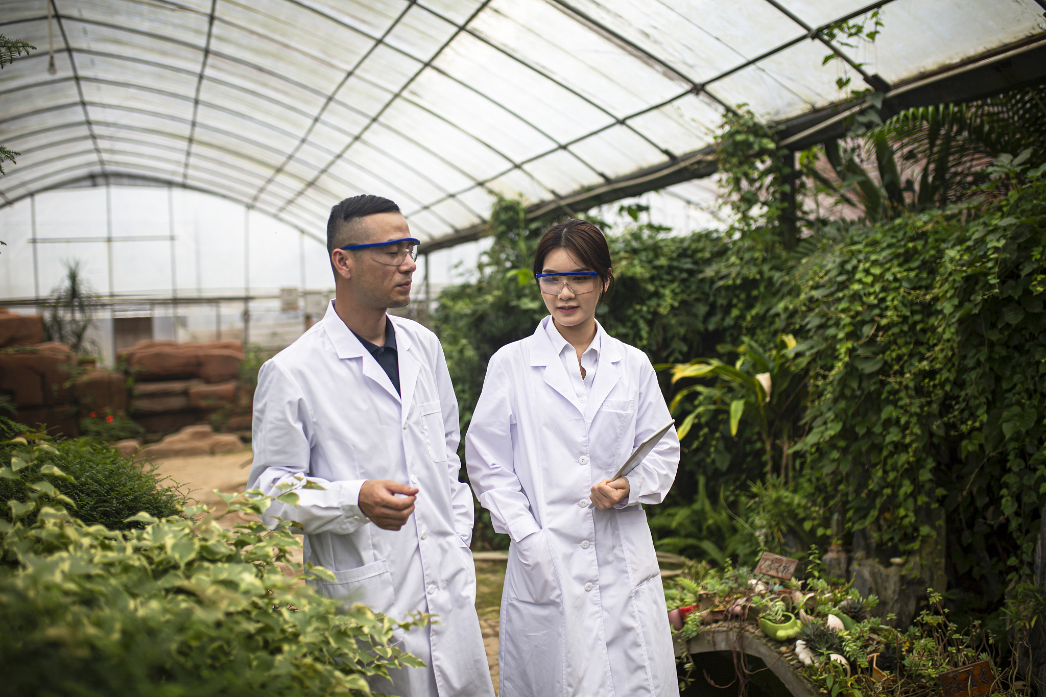 自贡三星职业技术学校设施农业生产技术专业课程内容介绍