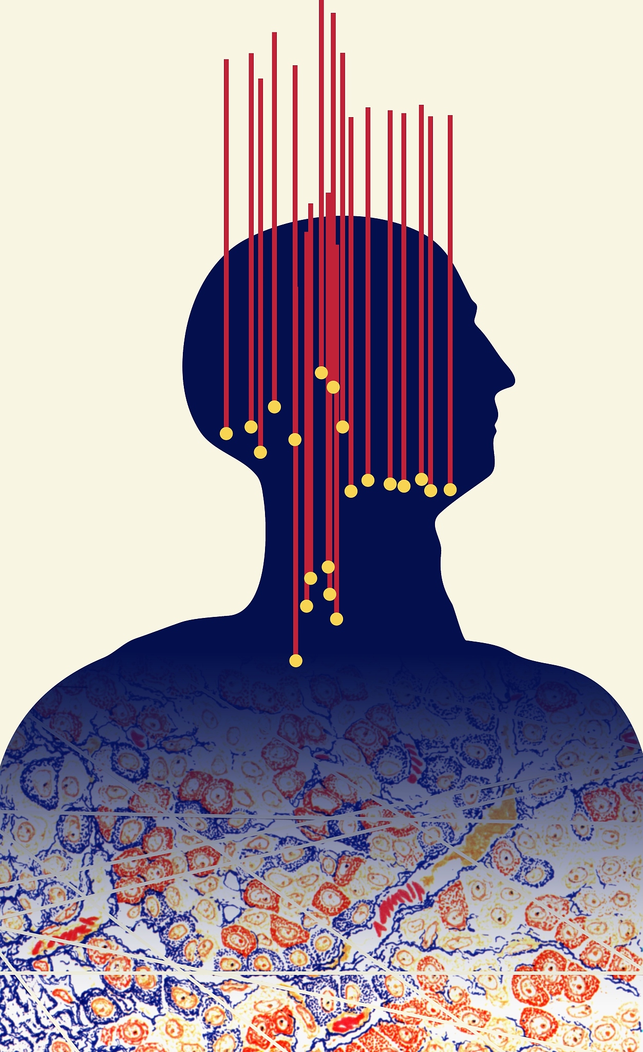 acupuncture pressure points demarcated on an outline of the huma