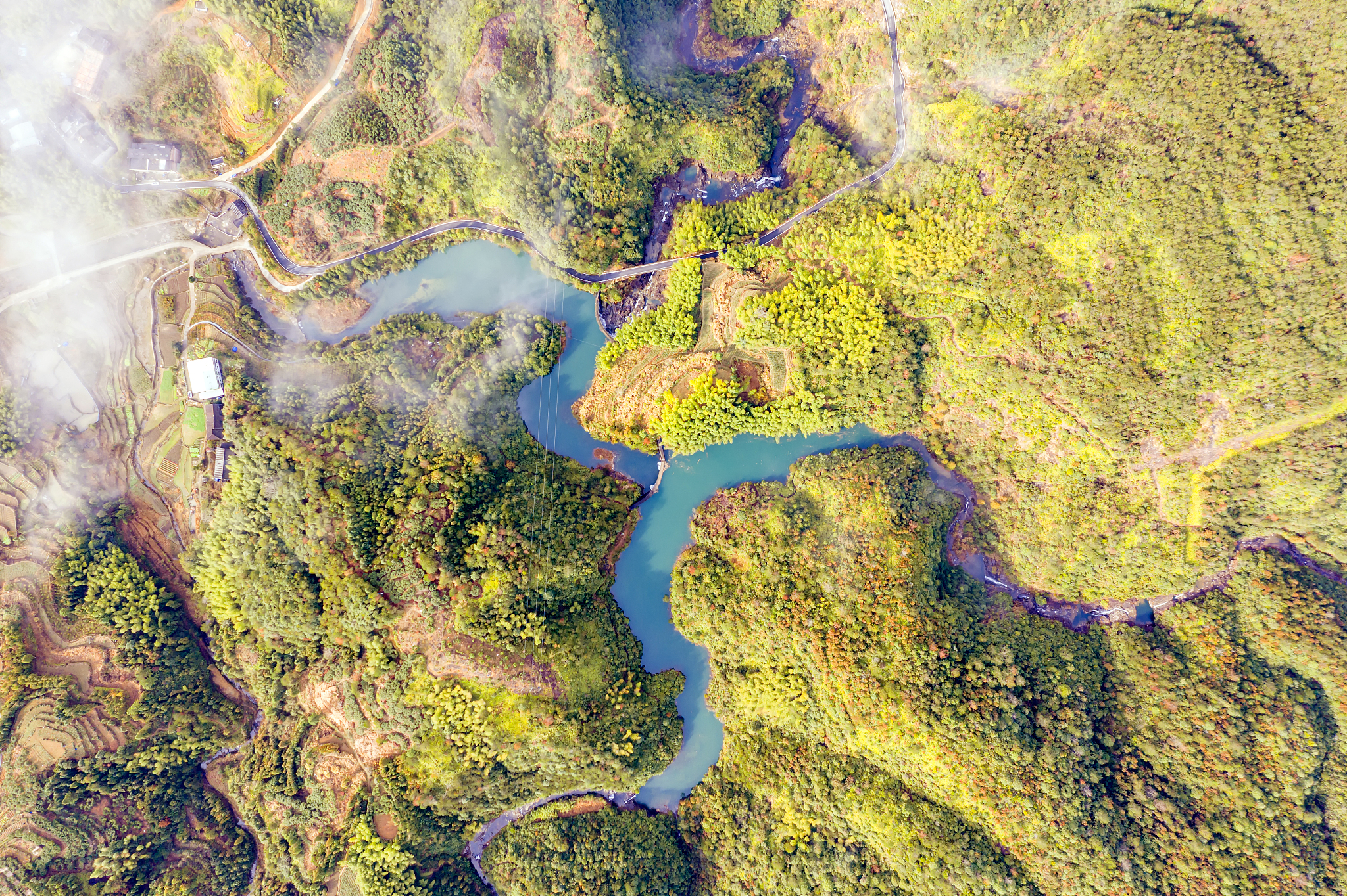 论述重庆市森林资源多样性保护现状结合2022年统计结果进行阐述不得少于600字。