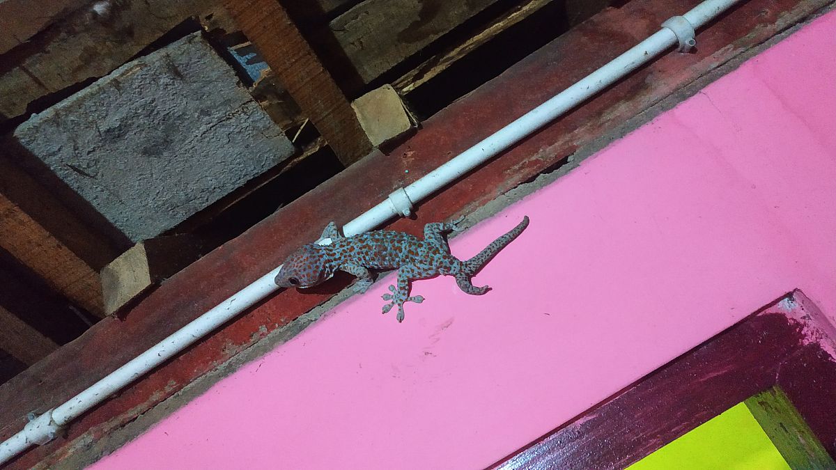 黑龙江农垦科技职业学院护理老年方向专业专业到底行不行设有哪些课程