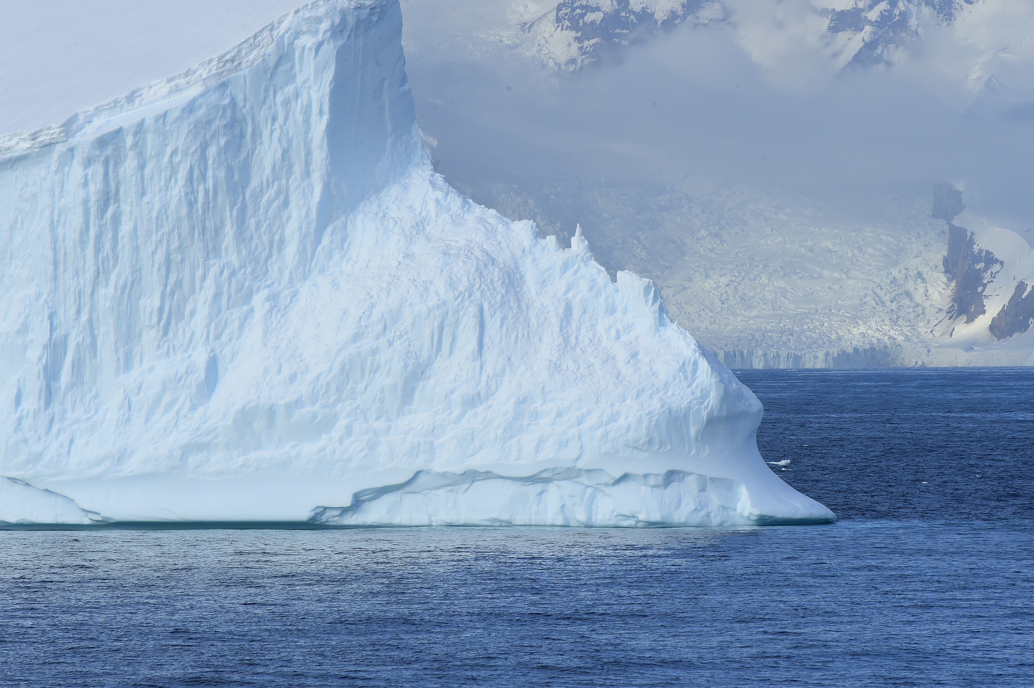 antarctica