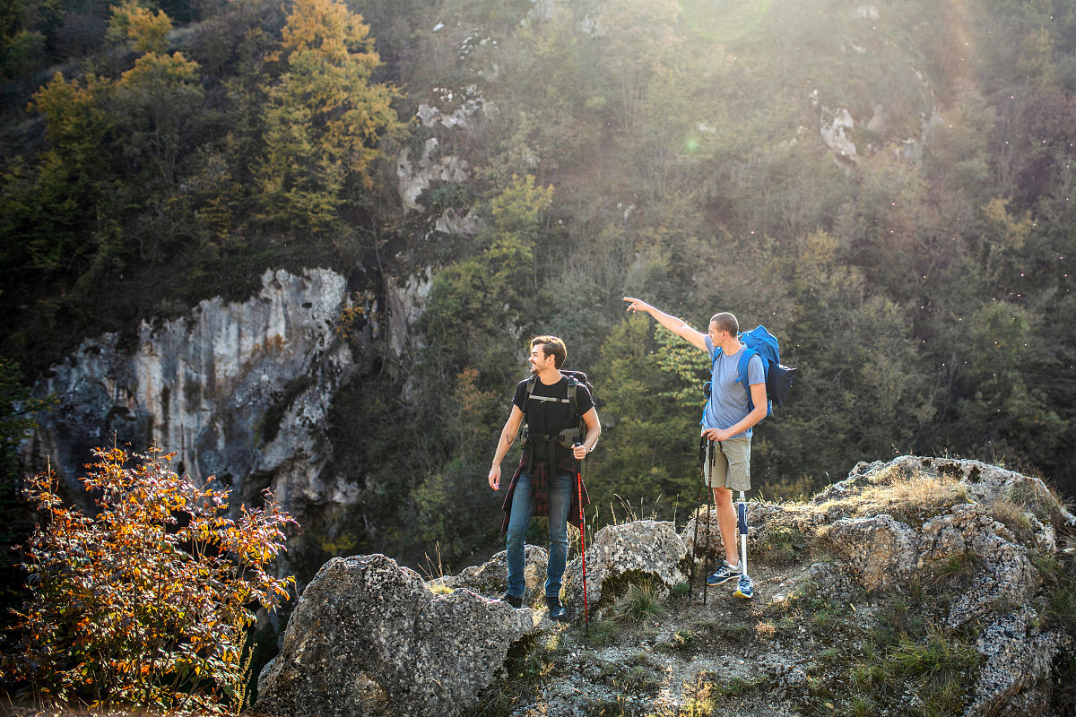 登高望远：一次难忘的山林之旅