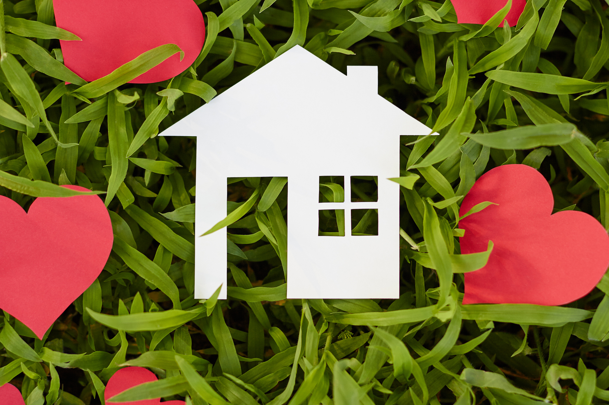 现在要申报上海市2023年工业通信业碳管理试点单位提报的项目是产品碳足迹核查请就下面描述 综合一个项目简述 要求是申请试点内容简述300字以内：包括试点名称、建设周期、建设内容及工作成效等内容：项目名称：金红叶纸业集团有限公司产品碳足迹项目公司介绍：金红叶纸业集团有限公司成立于1996年是金光集团APP中国生活用纸事业部集团现有员工12万余人在全国拥有13个制造工厂、24个销售分公司。公司是国内实