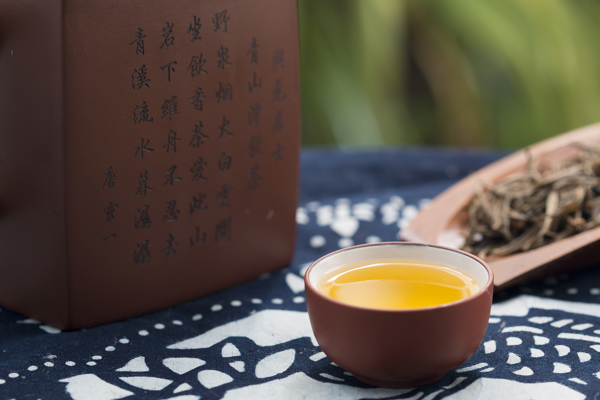 高山古树有机生普的韵味
