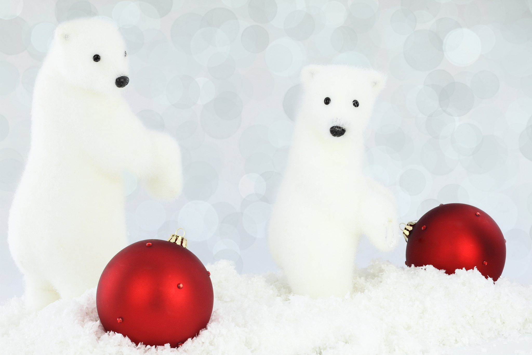 花瓶 北极熊 椅子 编一个故事用230字帮我详细描述