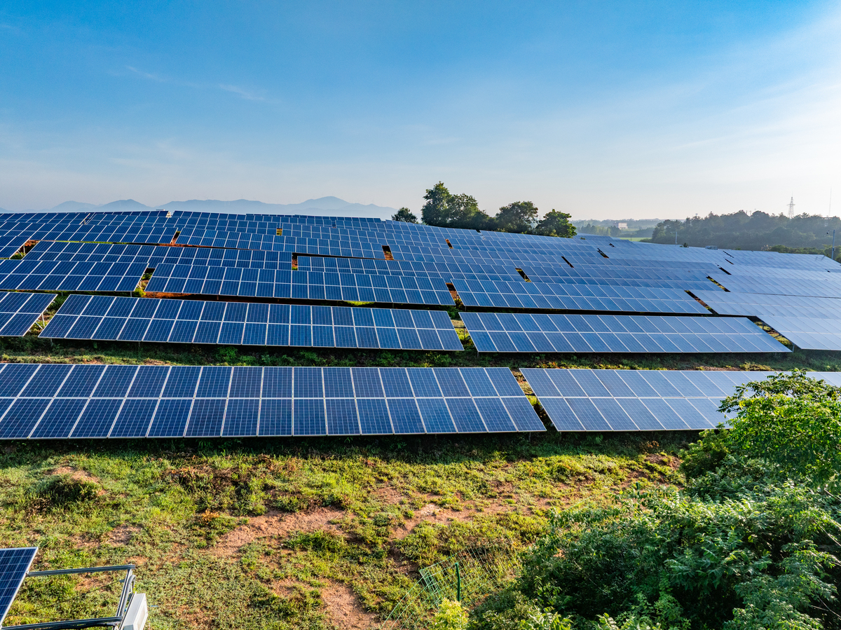 公司引入光伏发电，践行节能减排，共建绿色未来