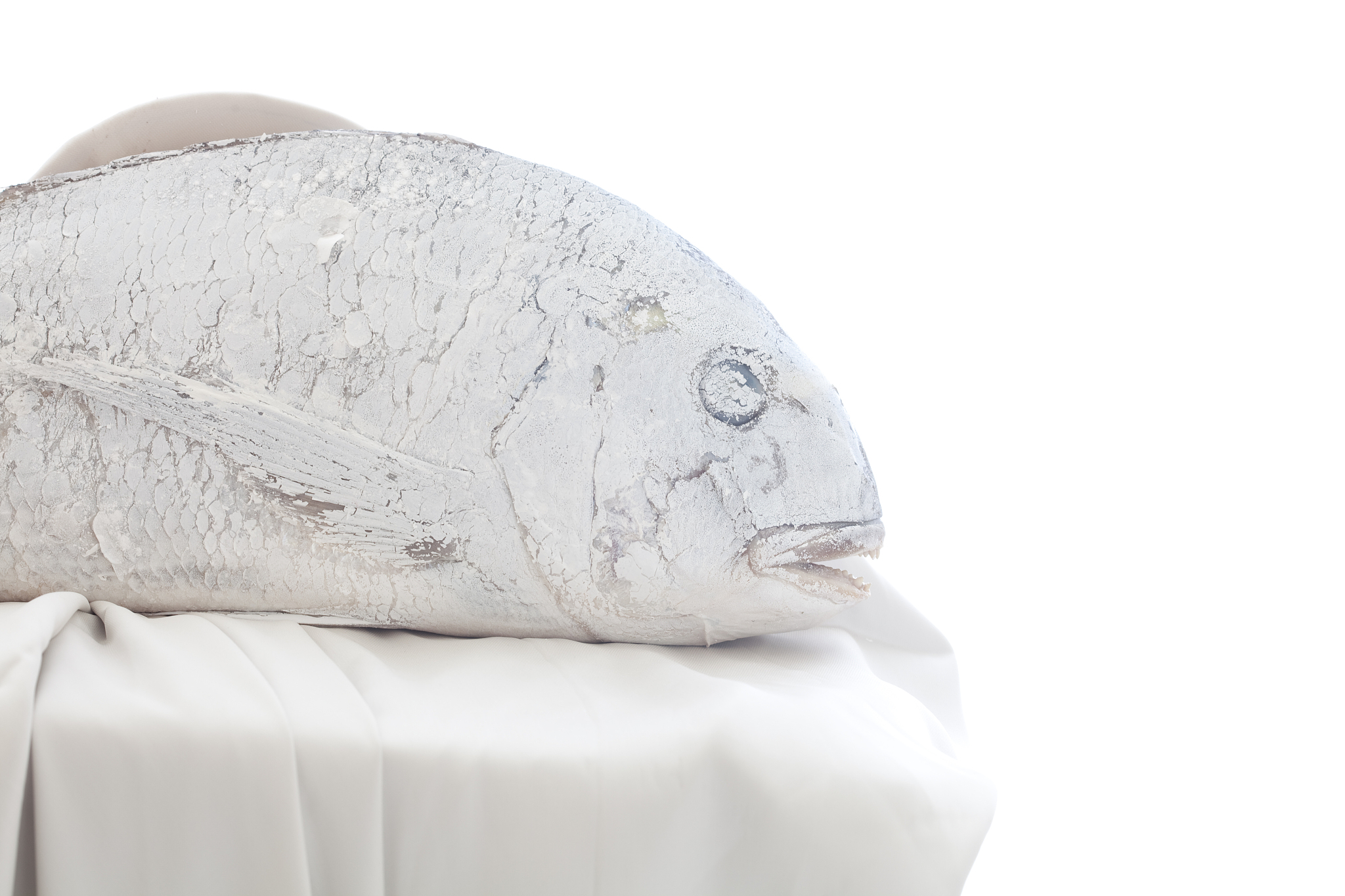 white fish on tablecloth
