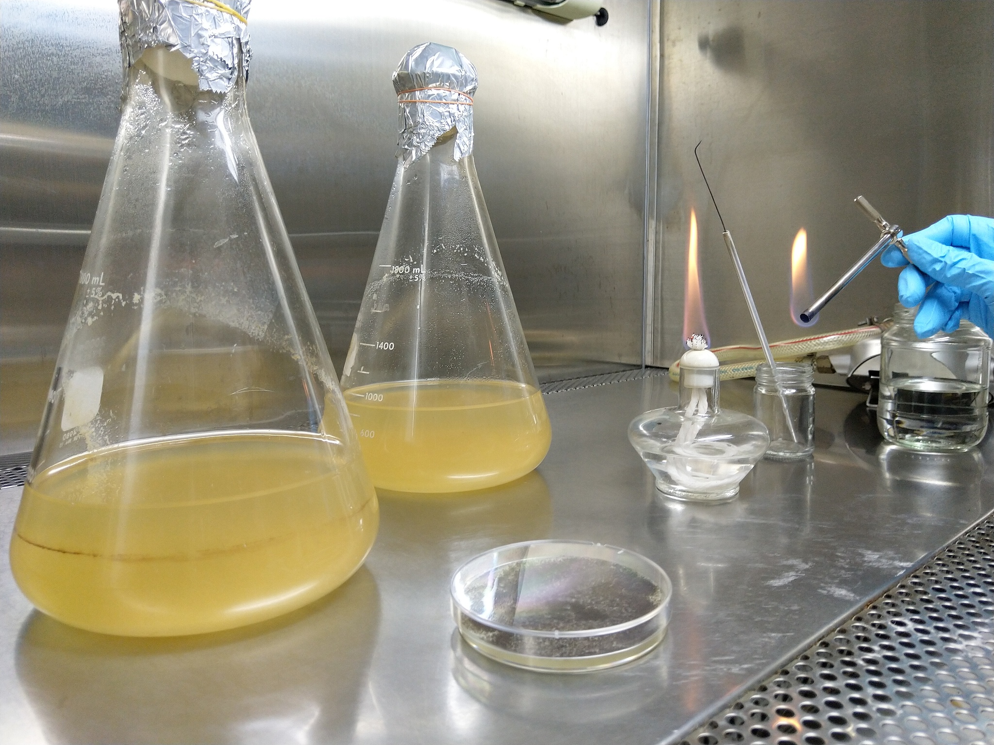 乙酸酐用途：合成、溶剂、原料、医药、食品及更多