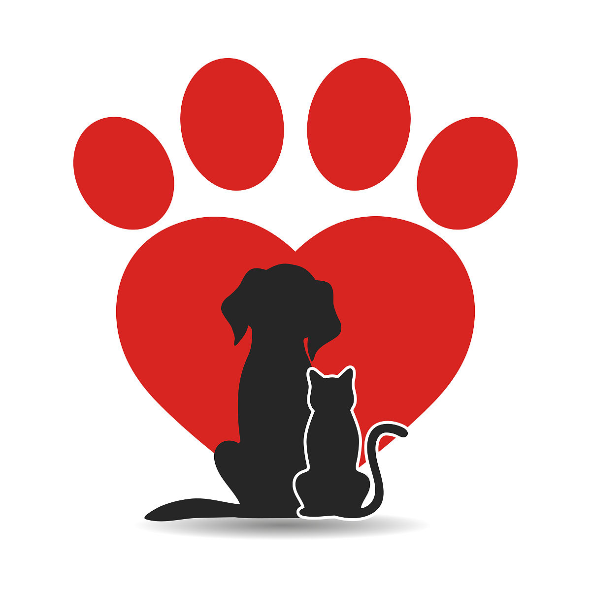 保山中等专业学校畜牧兽医(中技工)专业：培养未来动物医疗人才