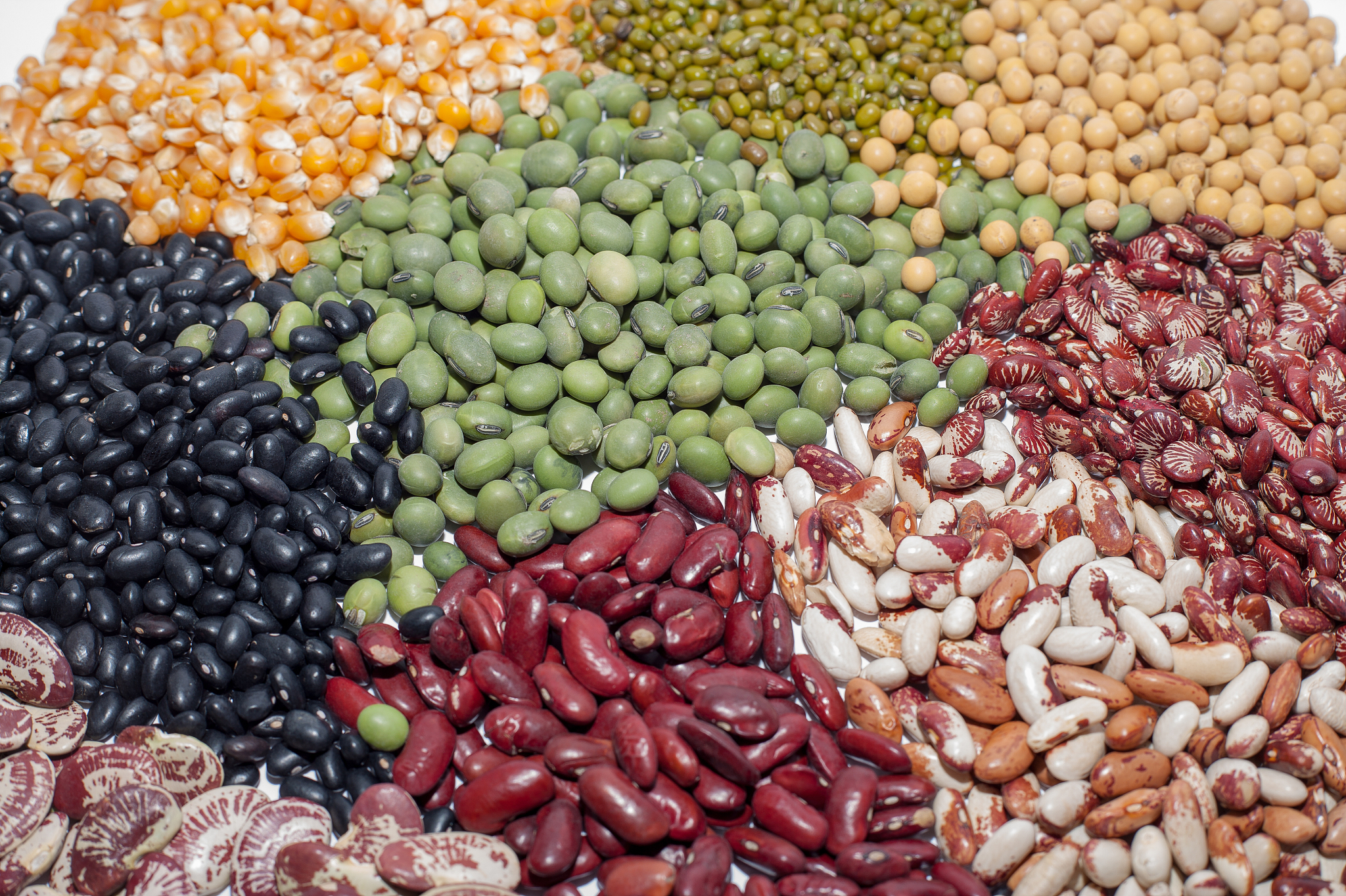 请帮我写1篇不少于800汉字的博客文章语言要幽默风趣。主题是：杂粮粥热量