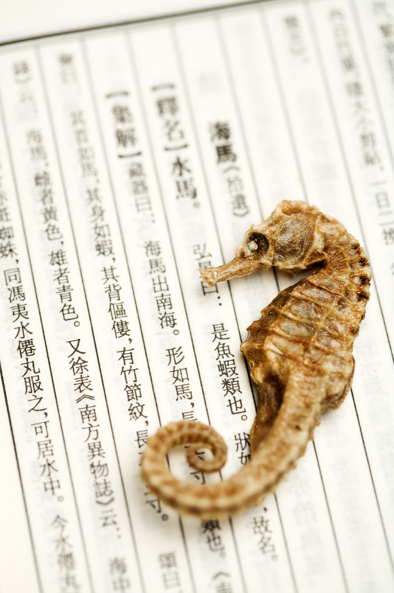四川中医药高等专科学校的药剂培养目标