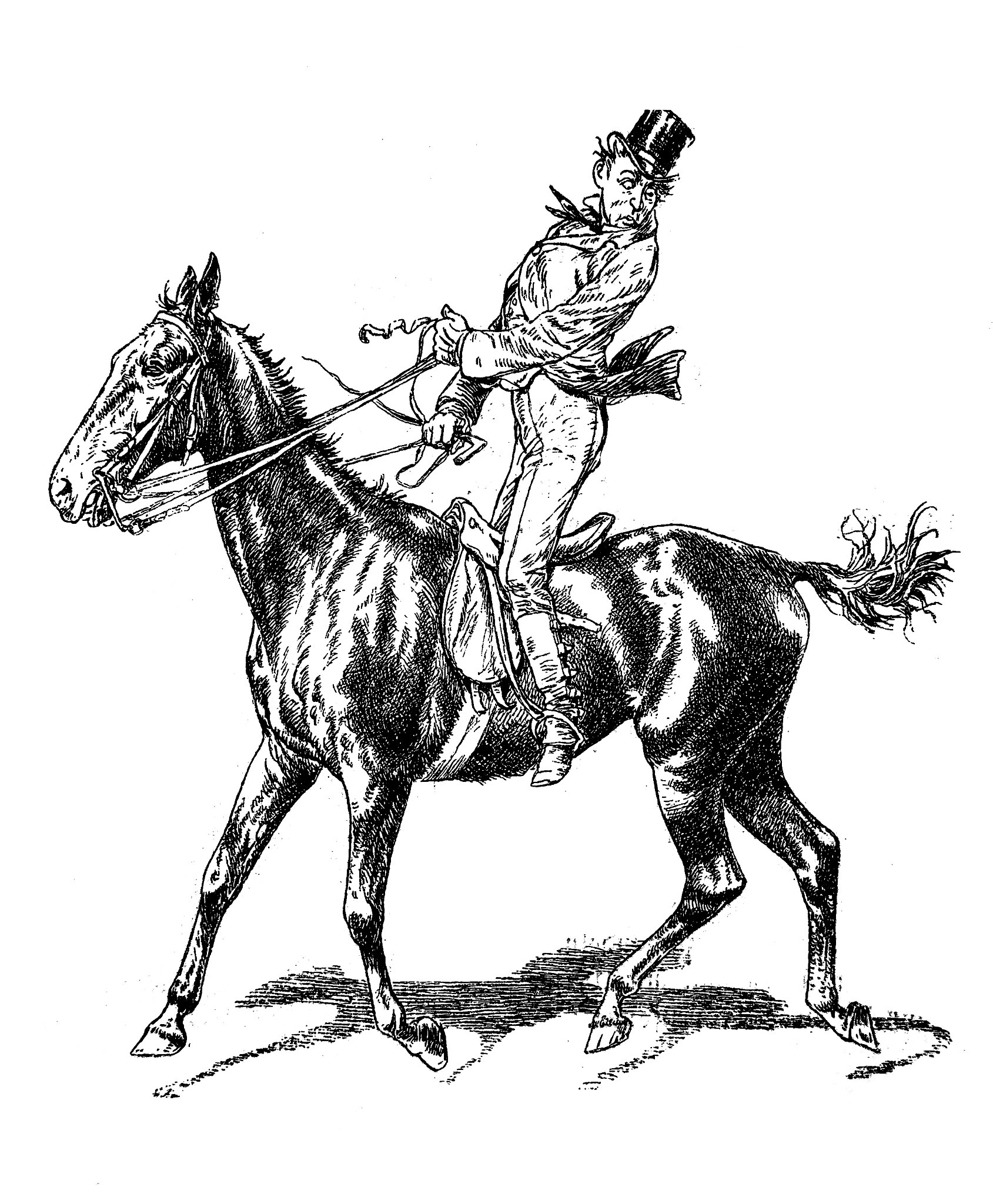 horseback riding
