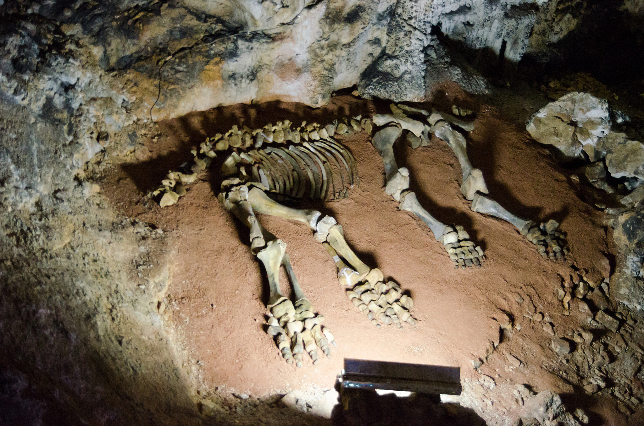 mammoth skeleton in a cave emine bair khosar. crimea.