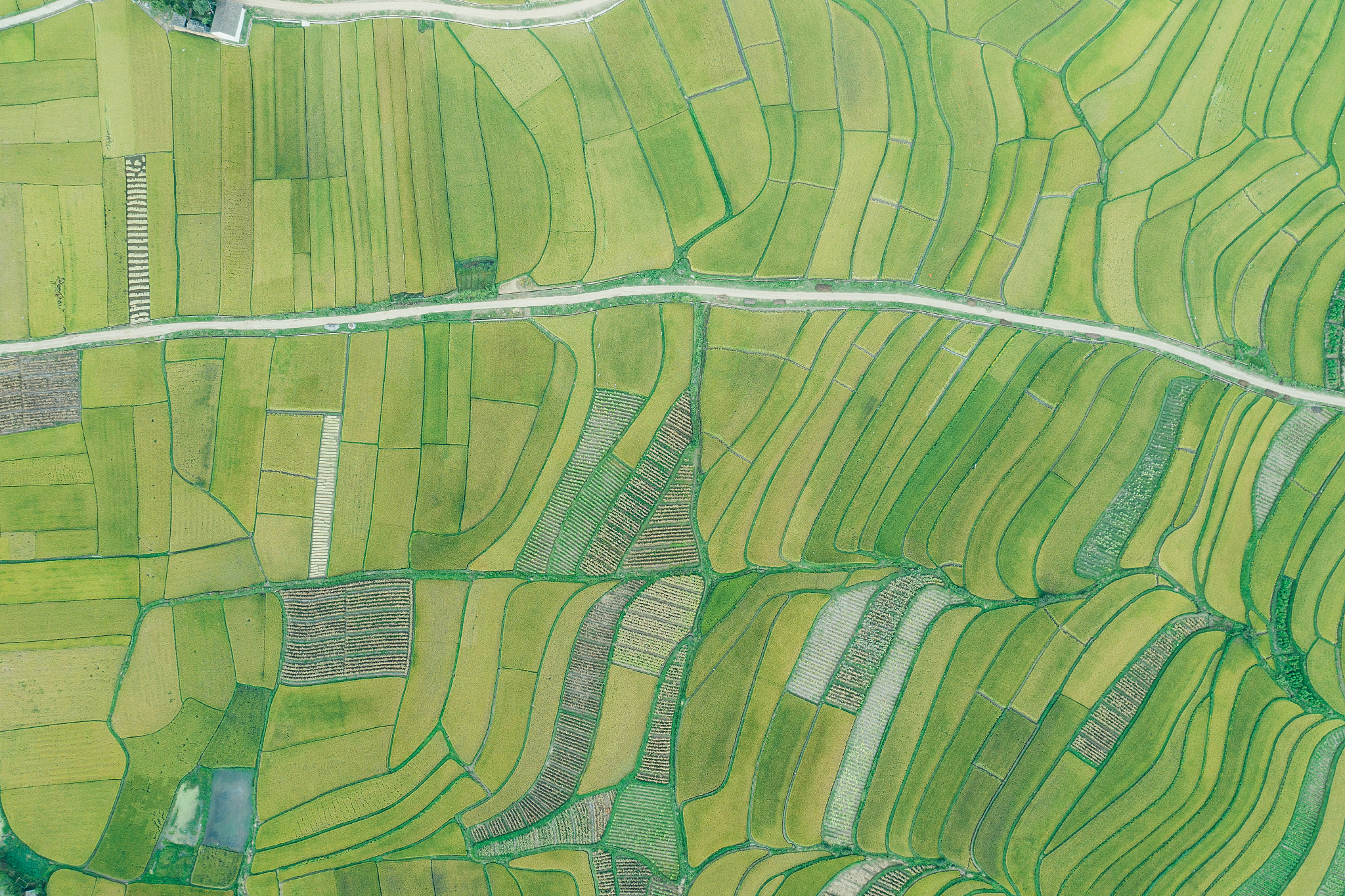 云南省农业学校2019年五年制高职热门专业