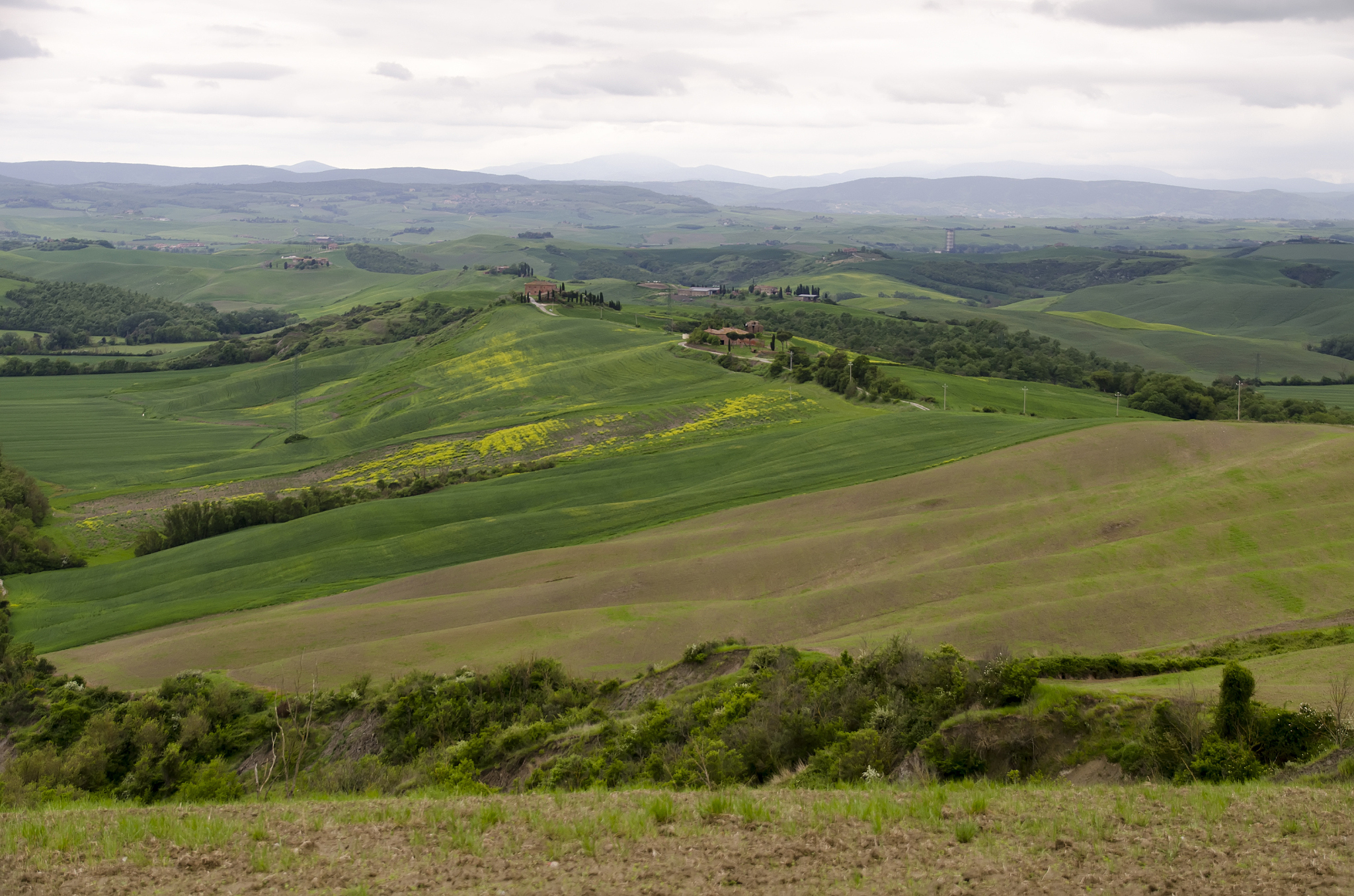 landscape of tuscany