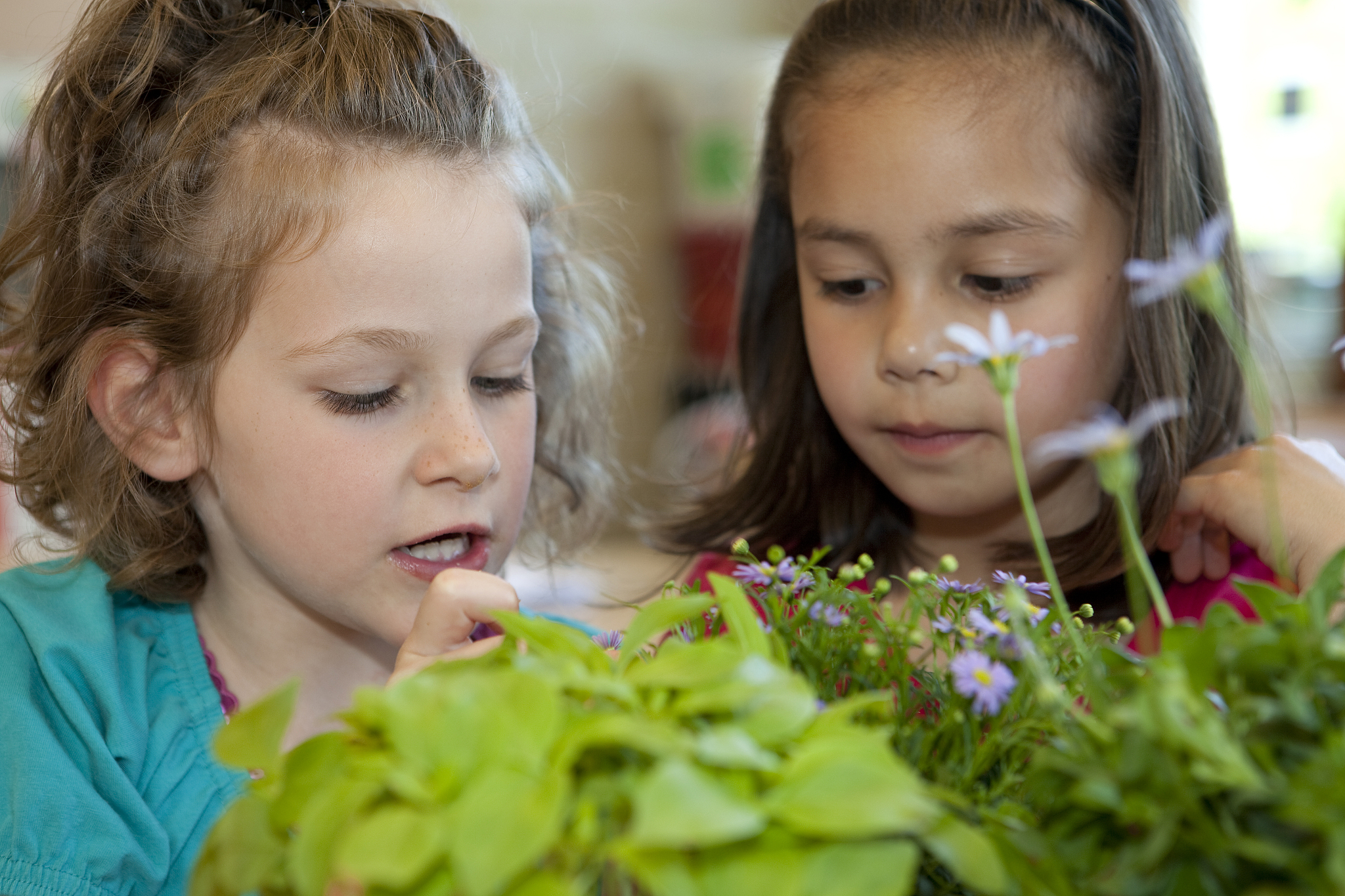 two girls having biology about the growing of plants
