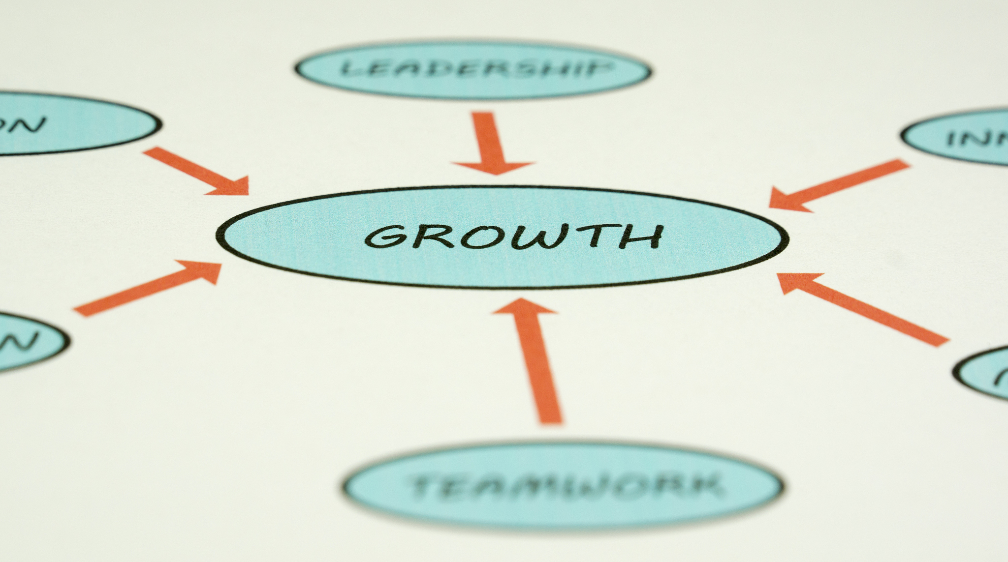 business chart - growth