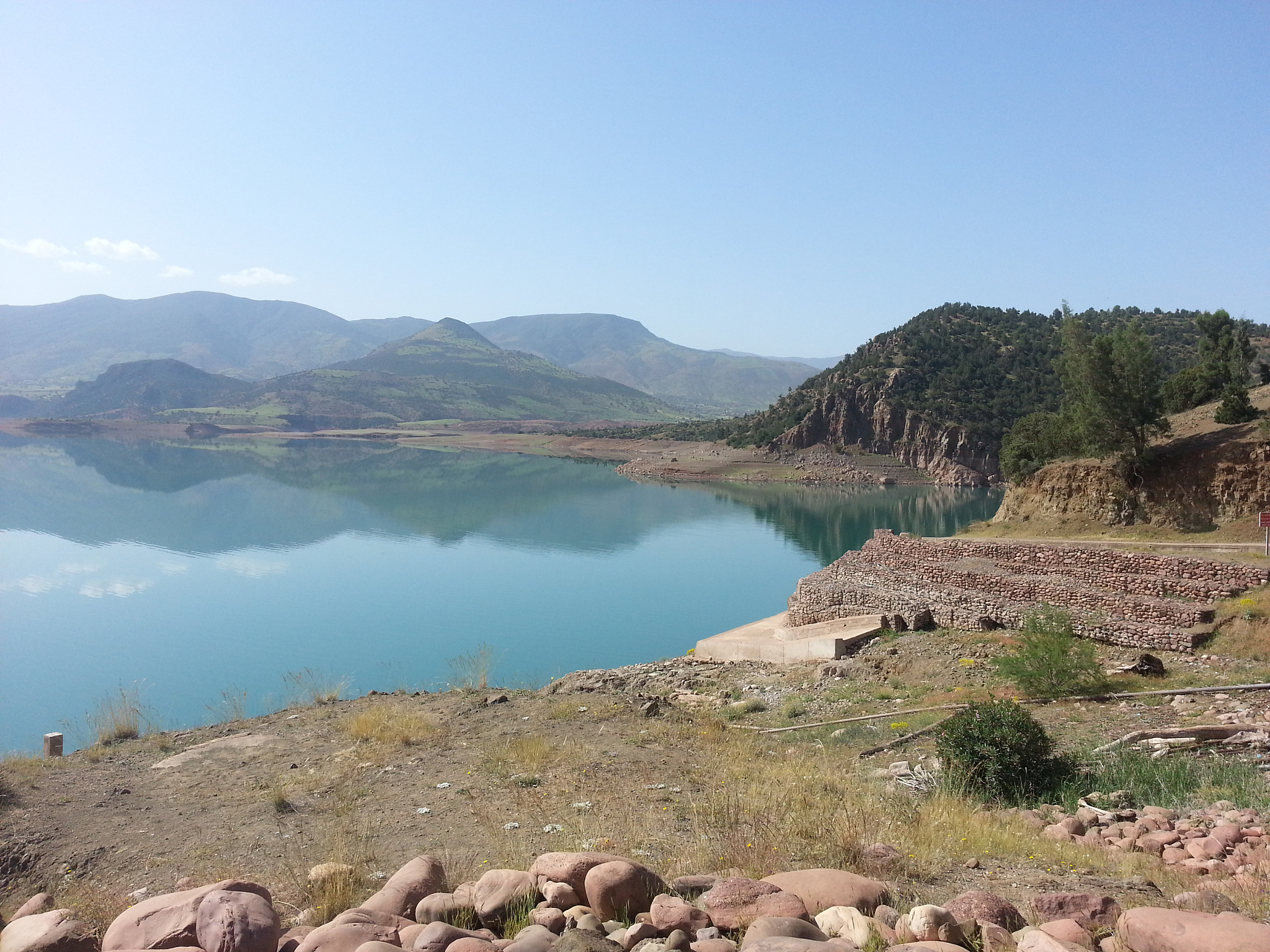 将威海市文登区米山水库集中饮用水水源地 保护工程工程总承包项目的投标书撰写写成实践记录汇报