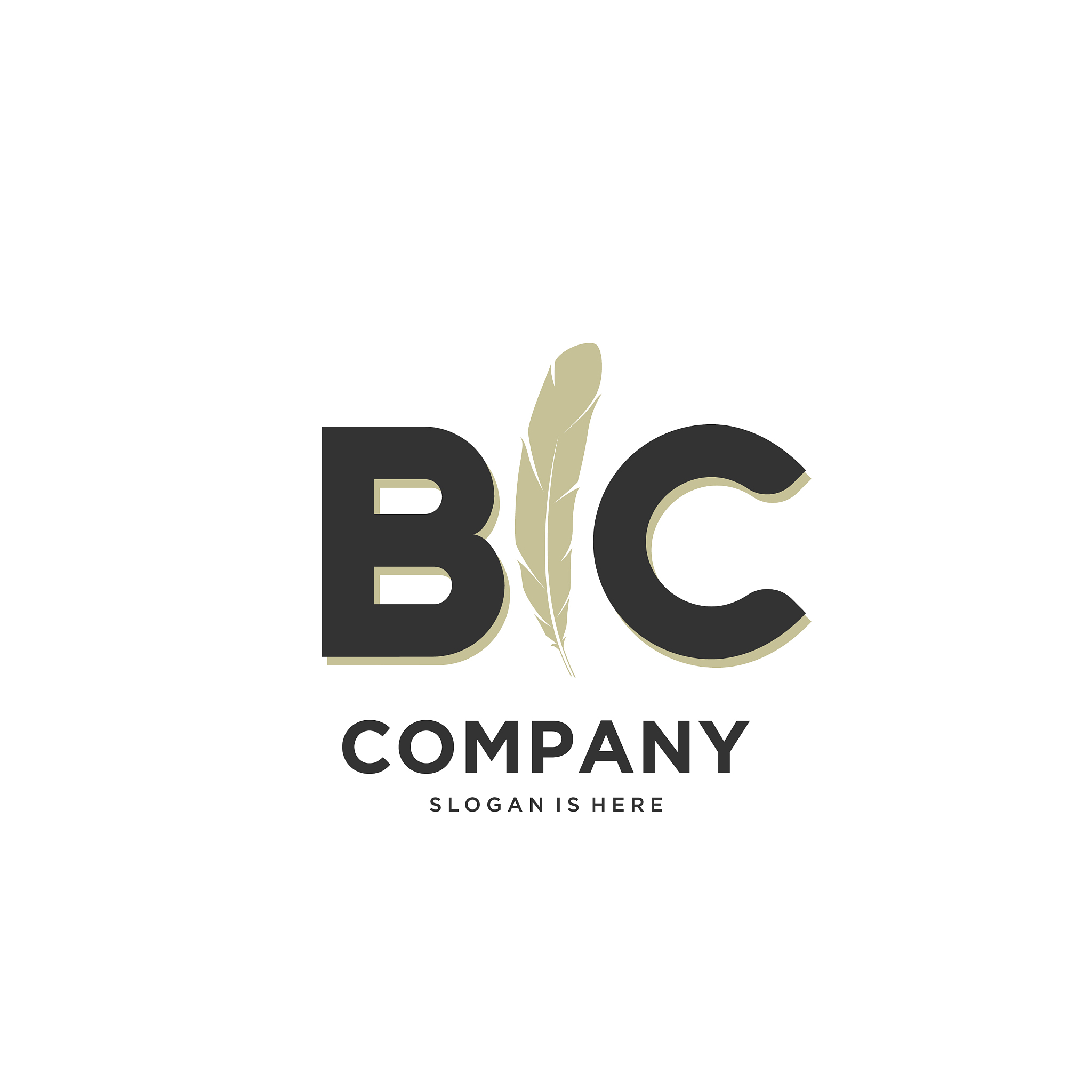 initial bc letter unique attractive creative