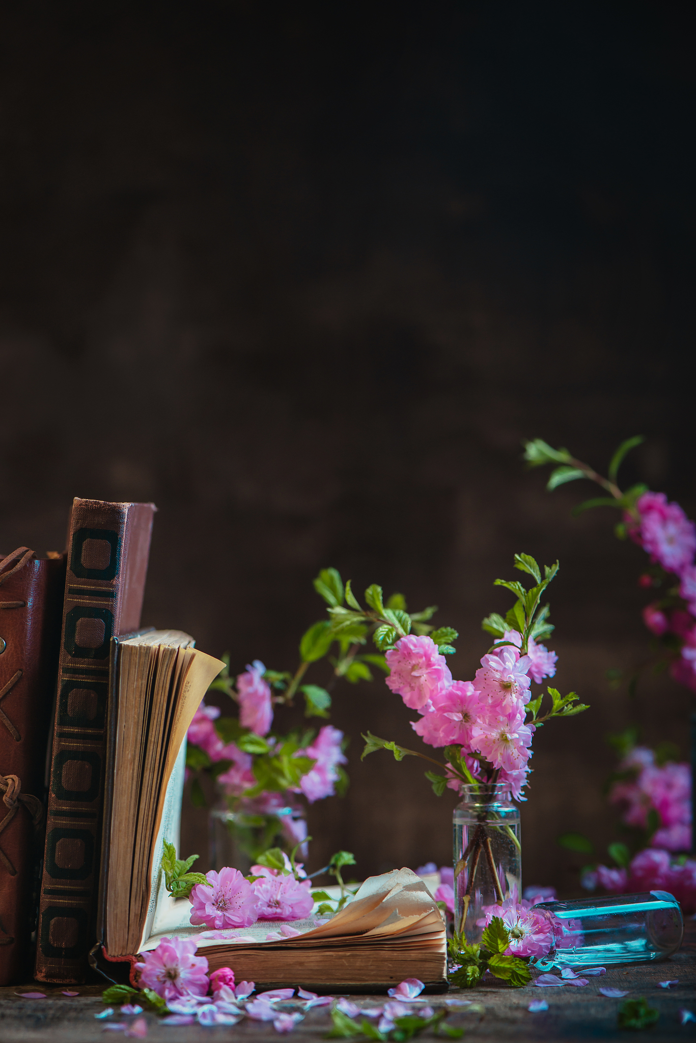 闭门即是深山读书随处静土。恬淡安静远离尘世的喧嚣避开吵杂的人海。静观花开花谢云卷云舒心静生慧无论世事沧桑我自岿然不动怎么回复完美用250字帮我详细描述