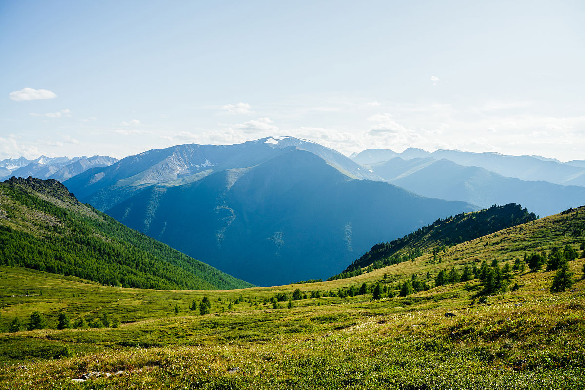 欧美自然保护地生态监测站数据研究：生态效益评估及关键词检索