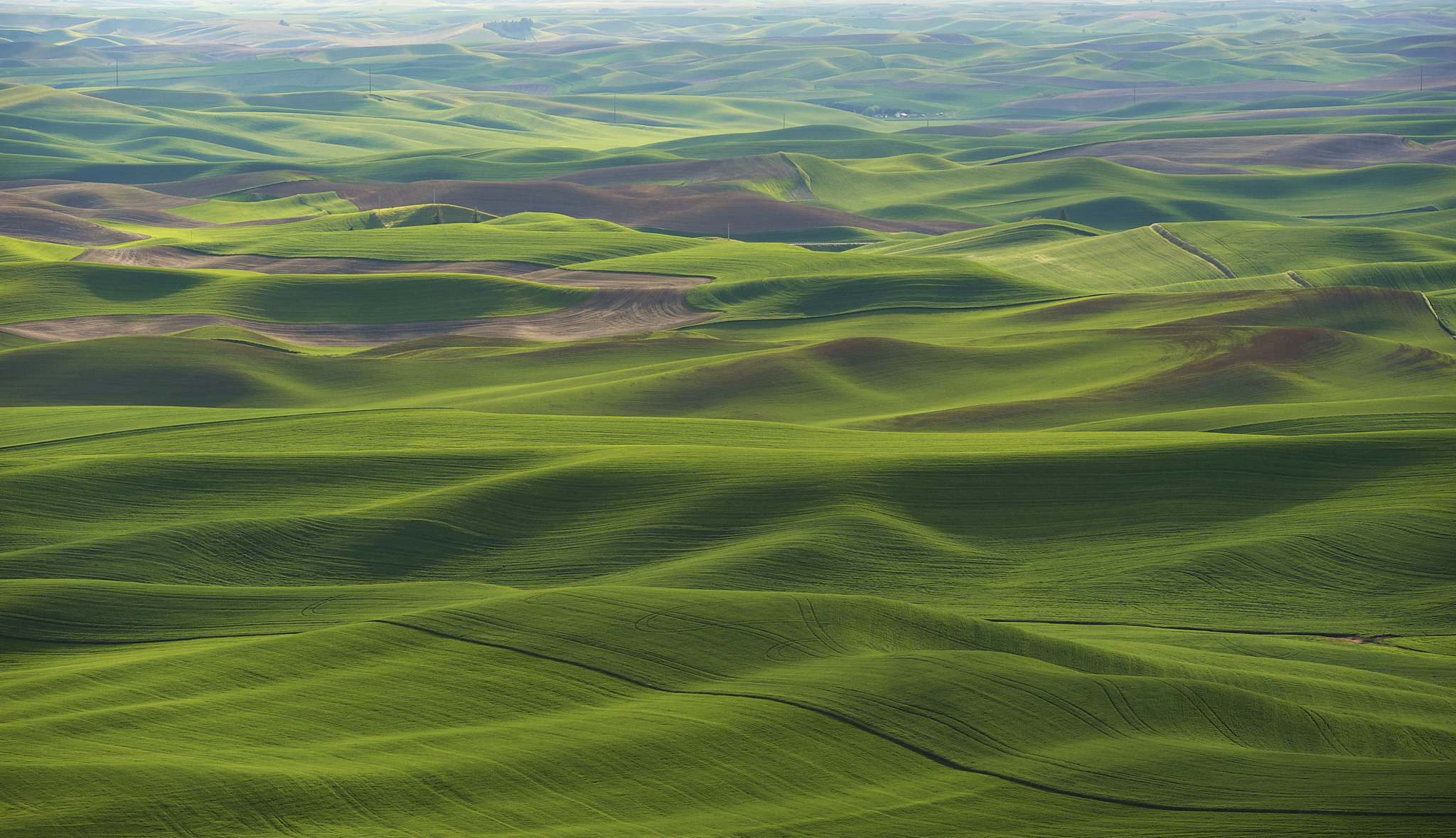 aerial view of rolling green landscape,palouse,washington,united
