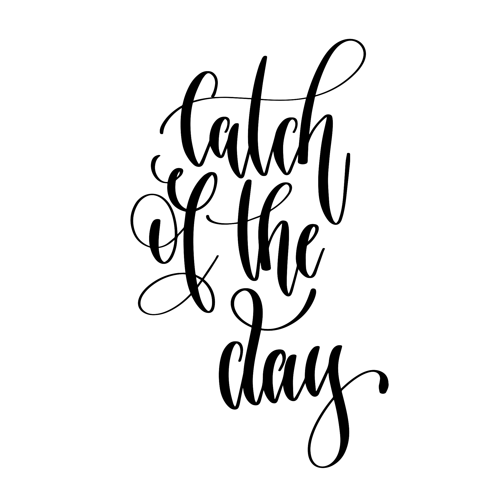 catch of the day - hand lettering text positive quote