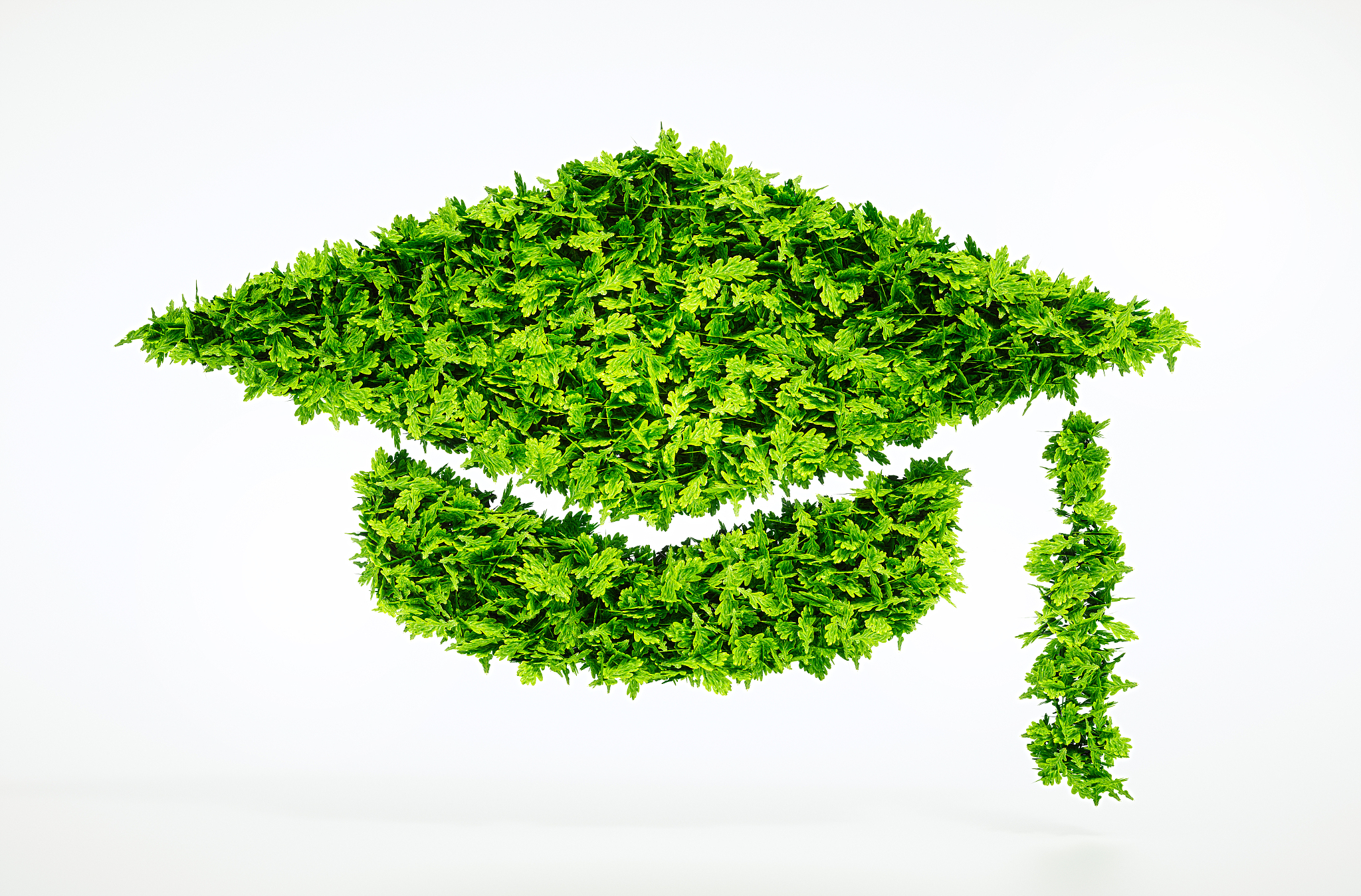 山东环保学校环境管理专业怎么样？评价与就业前景