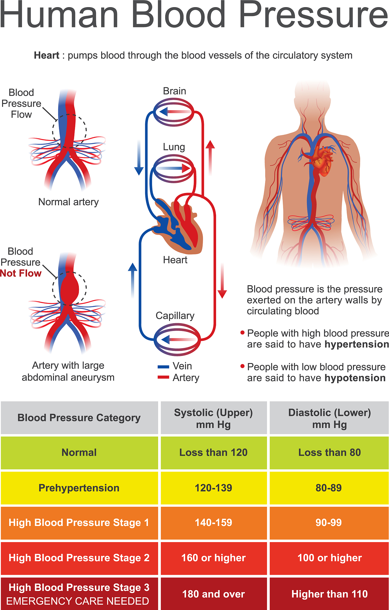 肾功能不全能恢复吗？ - 了解治疗和预防方法
