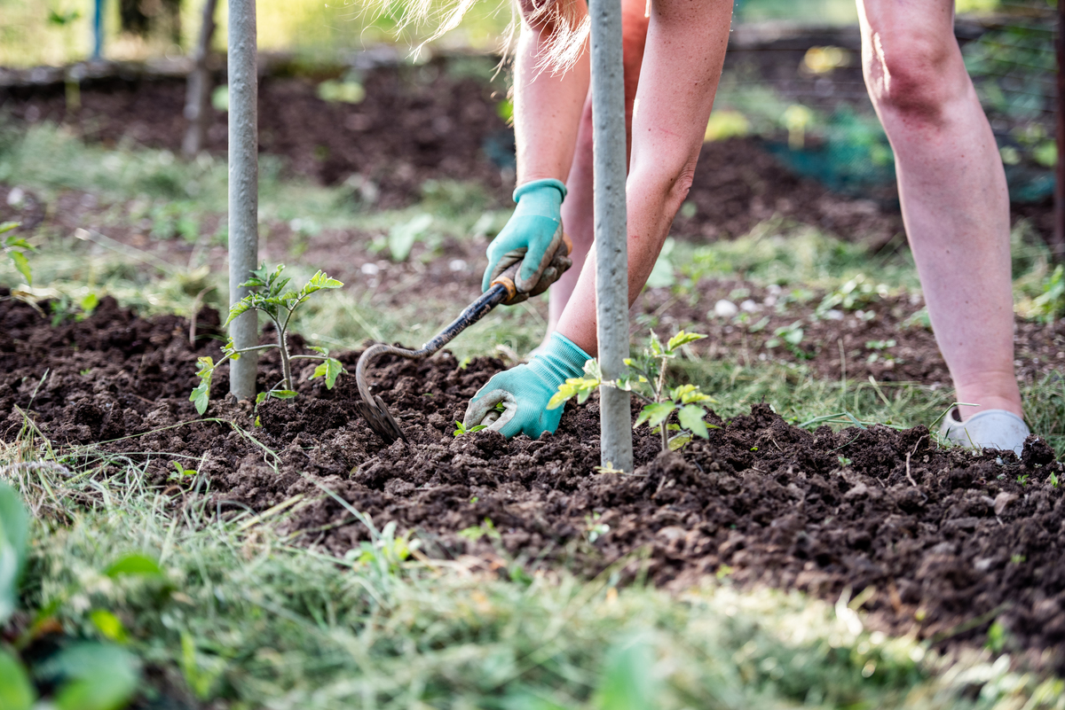 Comparison for the three methods of quantifying optimal planting density润色上面的句子