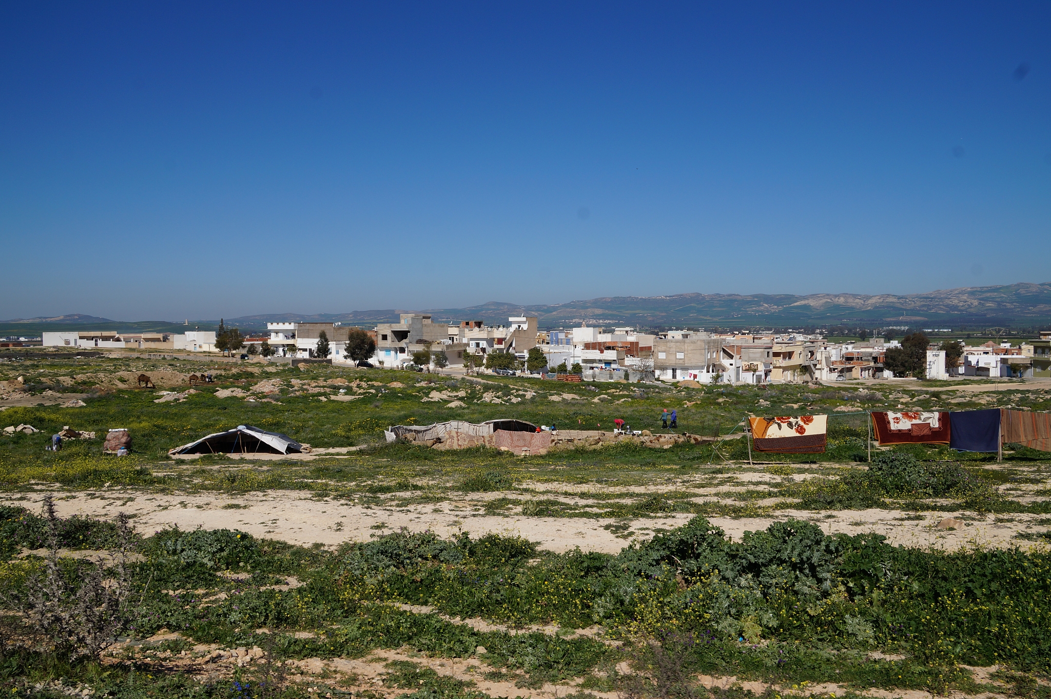 houses in town against clear blue sky