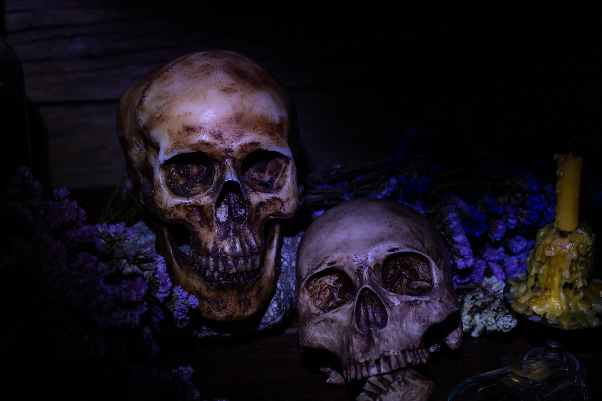 skull with flowers  in a dark night.