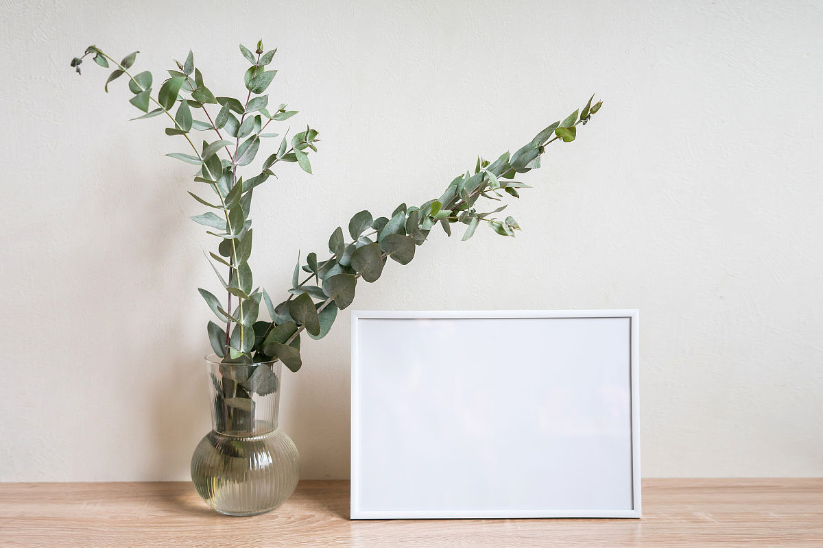 杨凌中等职业学校2022招生简章怎么样