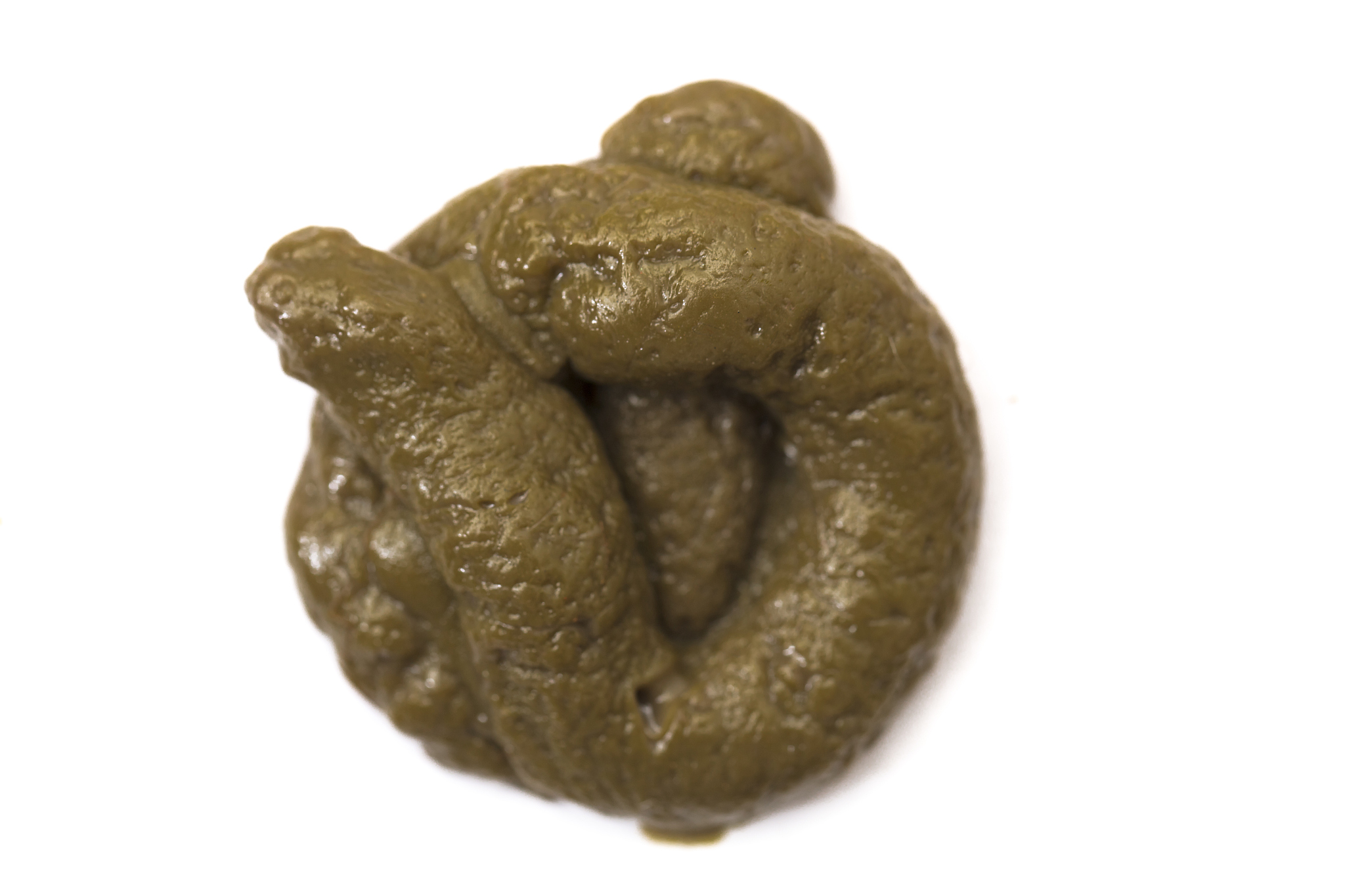 dog poo