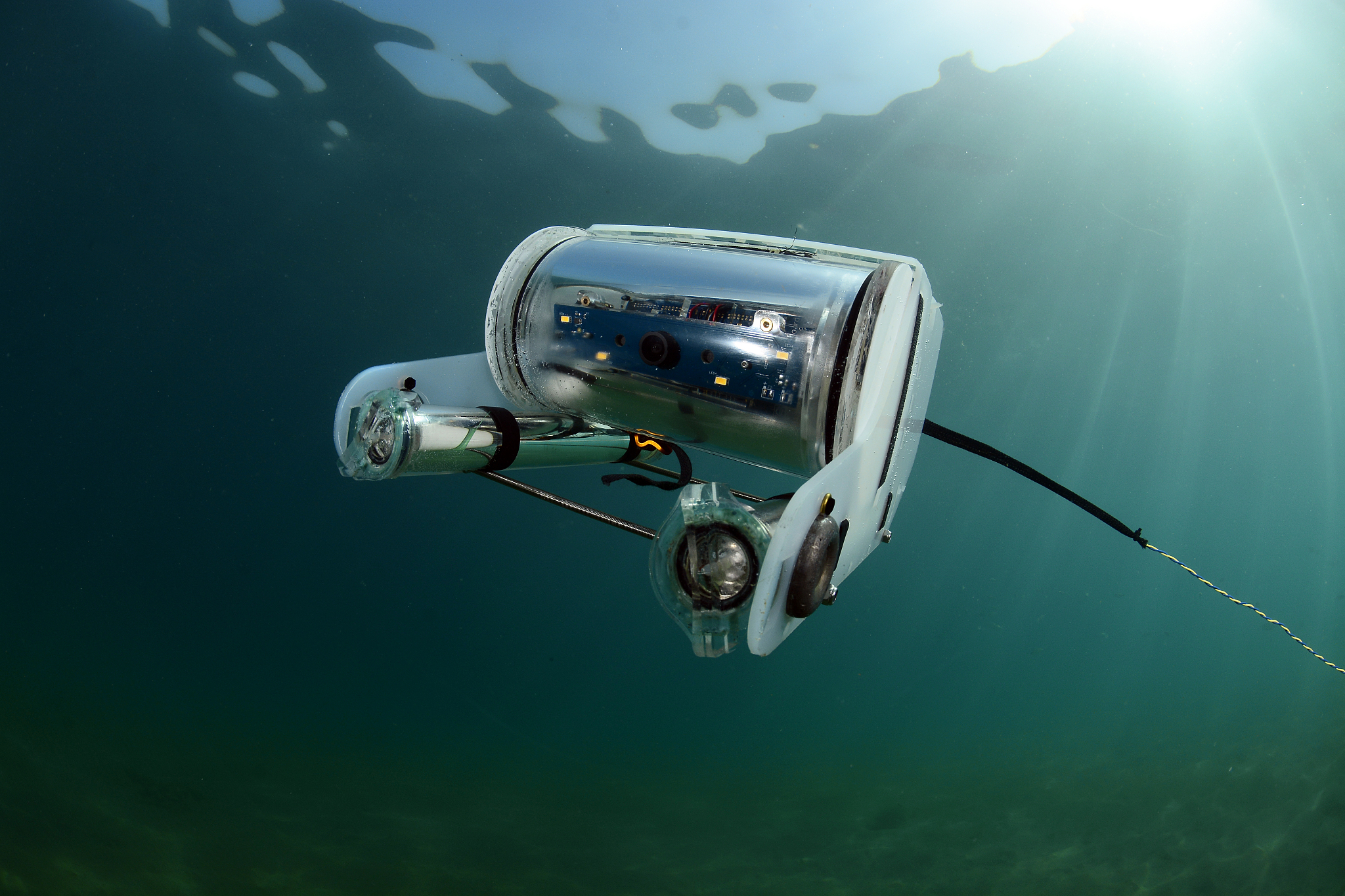 作为一家水下机器人公司的负责人请为我提供一些好的服务特色