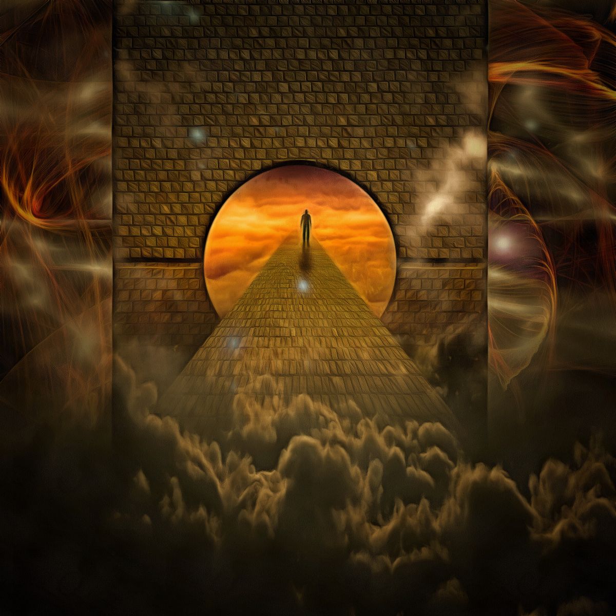 它和它出现在我生命里的正午时分挺拔而美丽的身姿宛如其名黑黑的像个魔王。我以为它们是幸运的领略到了恩泽满满的人间美好。可它们也有着不被理解和承认的孤独。它们骄傲诉说他祖上与玛雅古神的故事它被放逐到这个不属于它的地方并渴望回到故乡。我想给这个灵魂一个归宿让它感受到家的温馨和安定。可烟雨绵绵的三月还是让它过于思念成疾它化水而去让它形只影单。尽管我不能化腐朽为神奇但我为它选了另一种存在的意义。但我知道它不